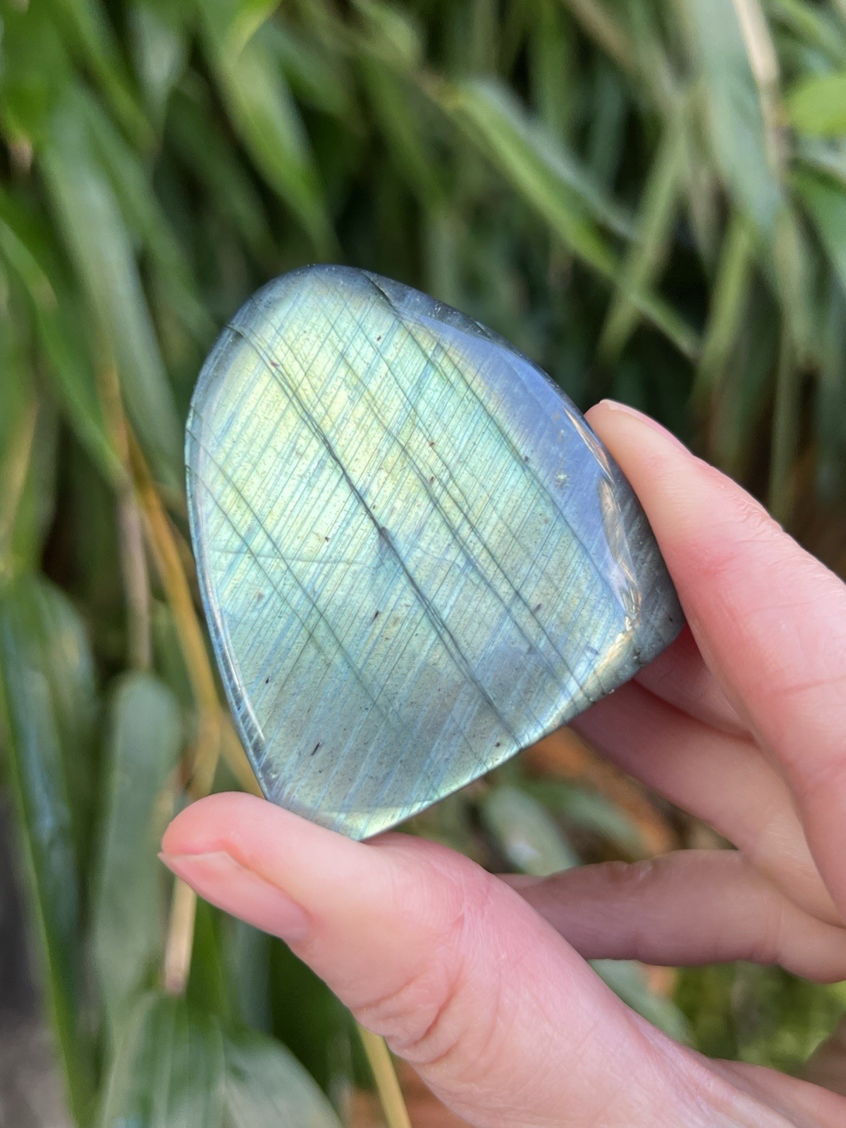 Silver Blue Labradorite Freeform Iridescent Crystal AAA+ 15