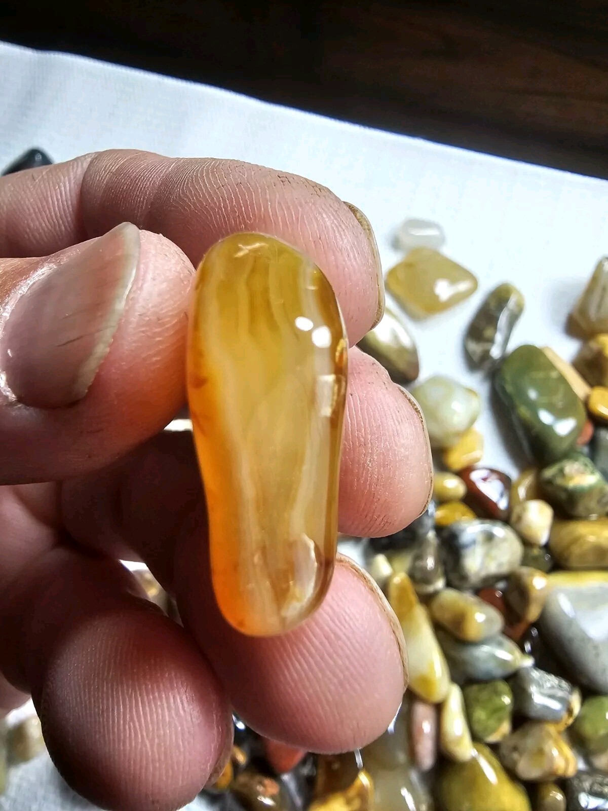 5 Oz. Bulk Mixed Tumbled Stones Agate Chalcedony Jasper Petrified Wood And More
