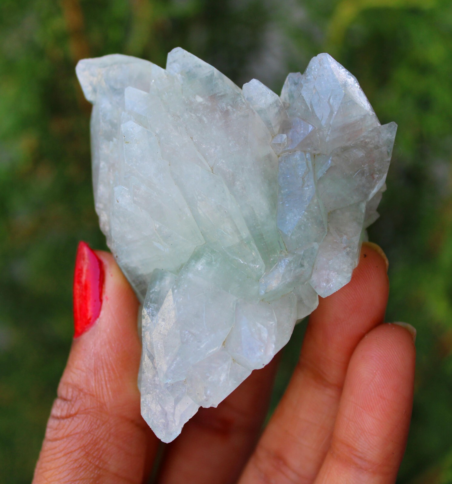Green Apophyllite Crystals Minerals Specimen