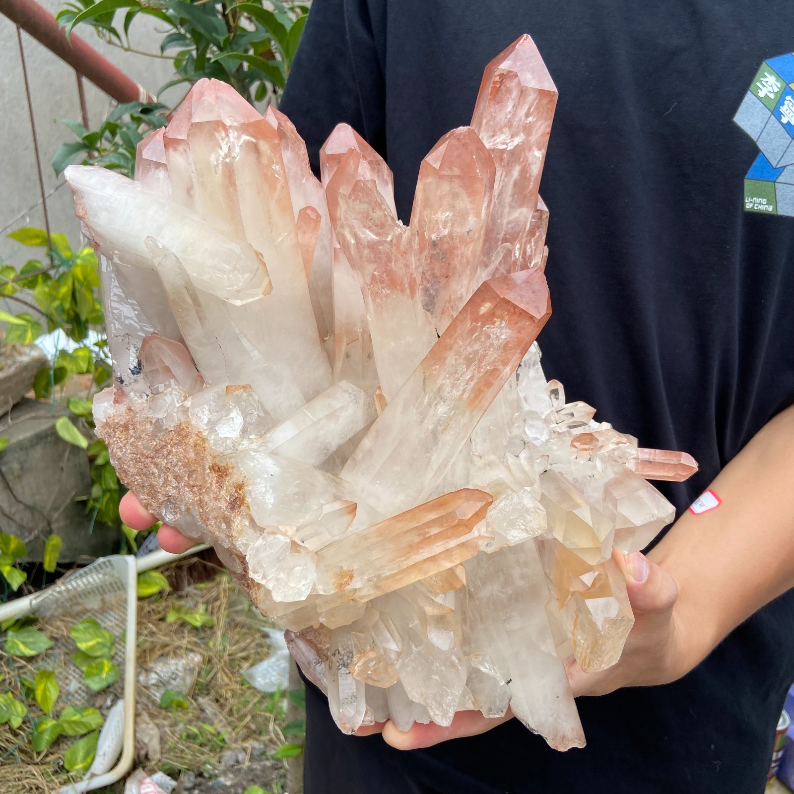 14.3lb Natural Clear White Quartz Crystal Cluster Energy Healing Specimen