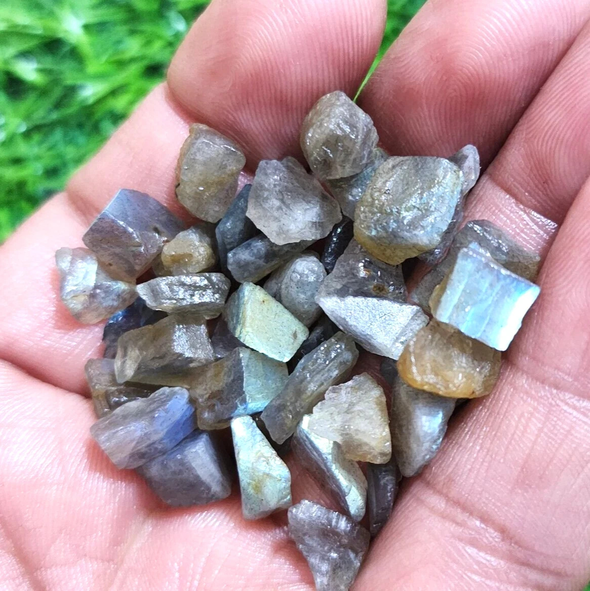 117 Crt Excellent Rare Multi Fire Labradorite Rough Size 8-11 MM Loose Gemstone