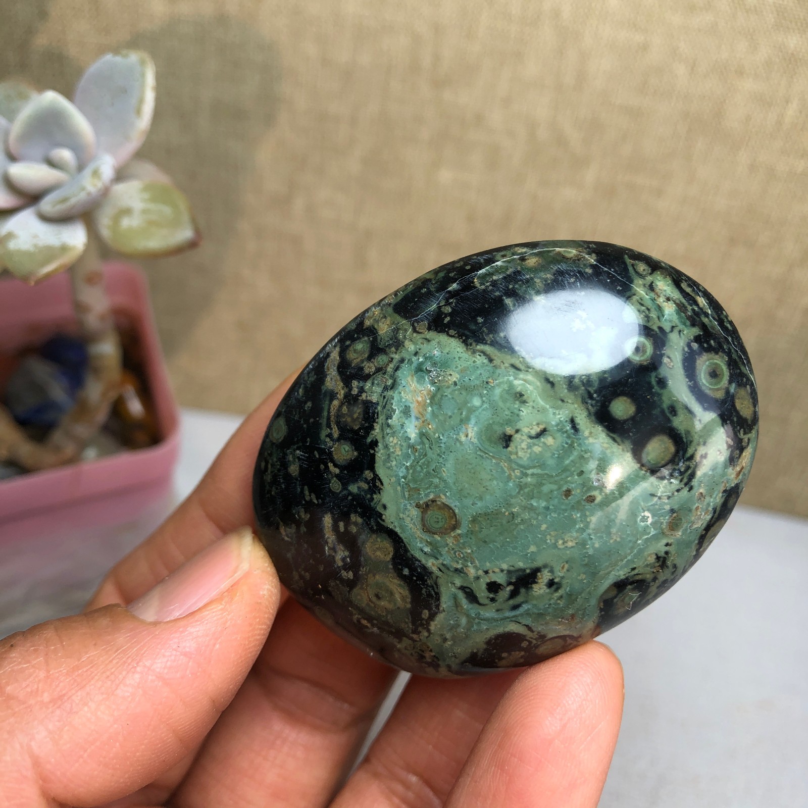Top Natural Green Kambaba jasper quartz crystal Specimen healing 50g A2601