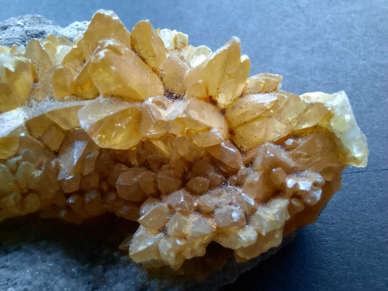 Golden Yellow Honey Calcite Crystals on Fossil Mangrove Clam Shell Rucks Pit