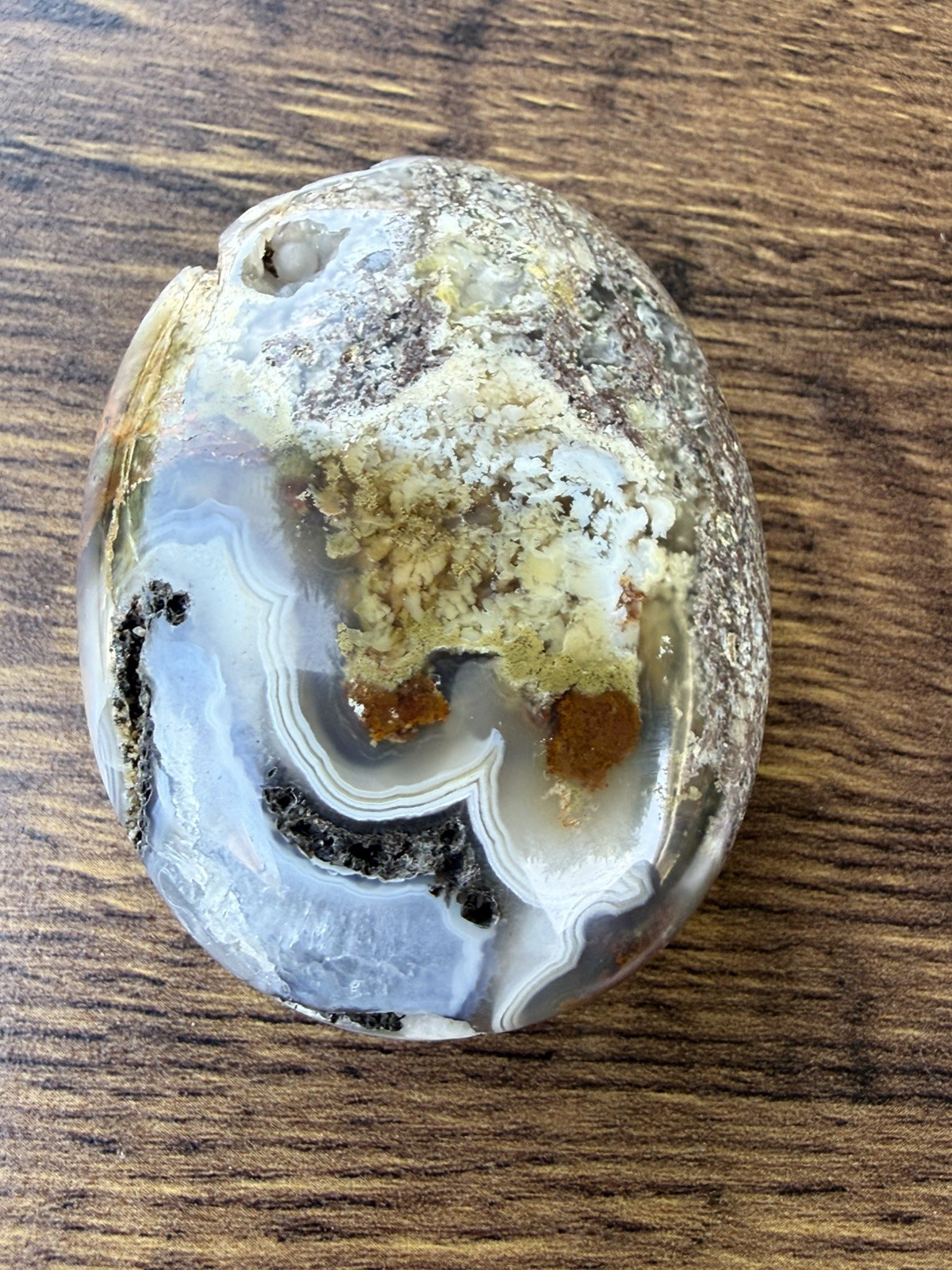 Authentic Scenic Moss Agate Crystal Palm Stone From Indonesia,Collector, gift