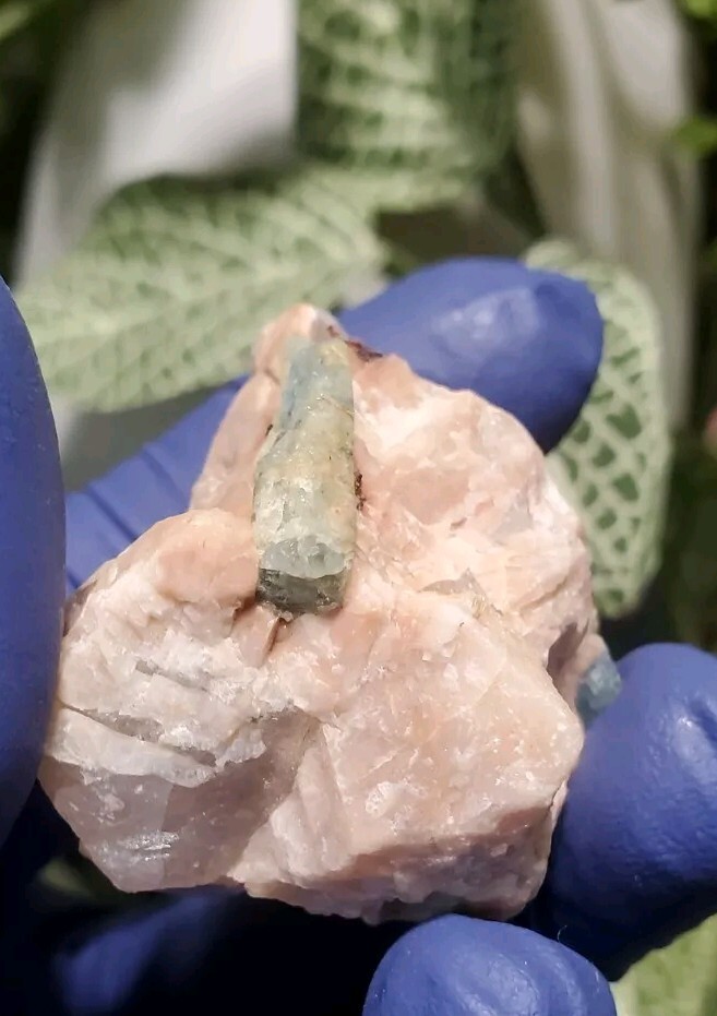 Aquamarine in Feldspar Crystal Specimen 40 grams