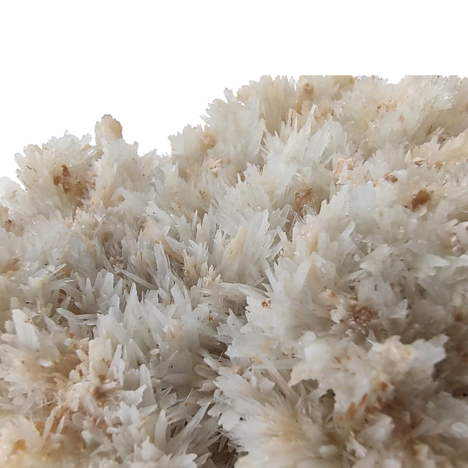 1.8 lb Aragonite Calcite – Rare Specimen, Amazing Quality, 15x7x8 cm, Ojuela Mx