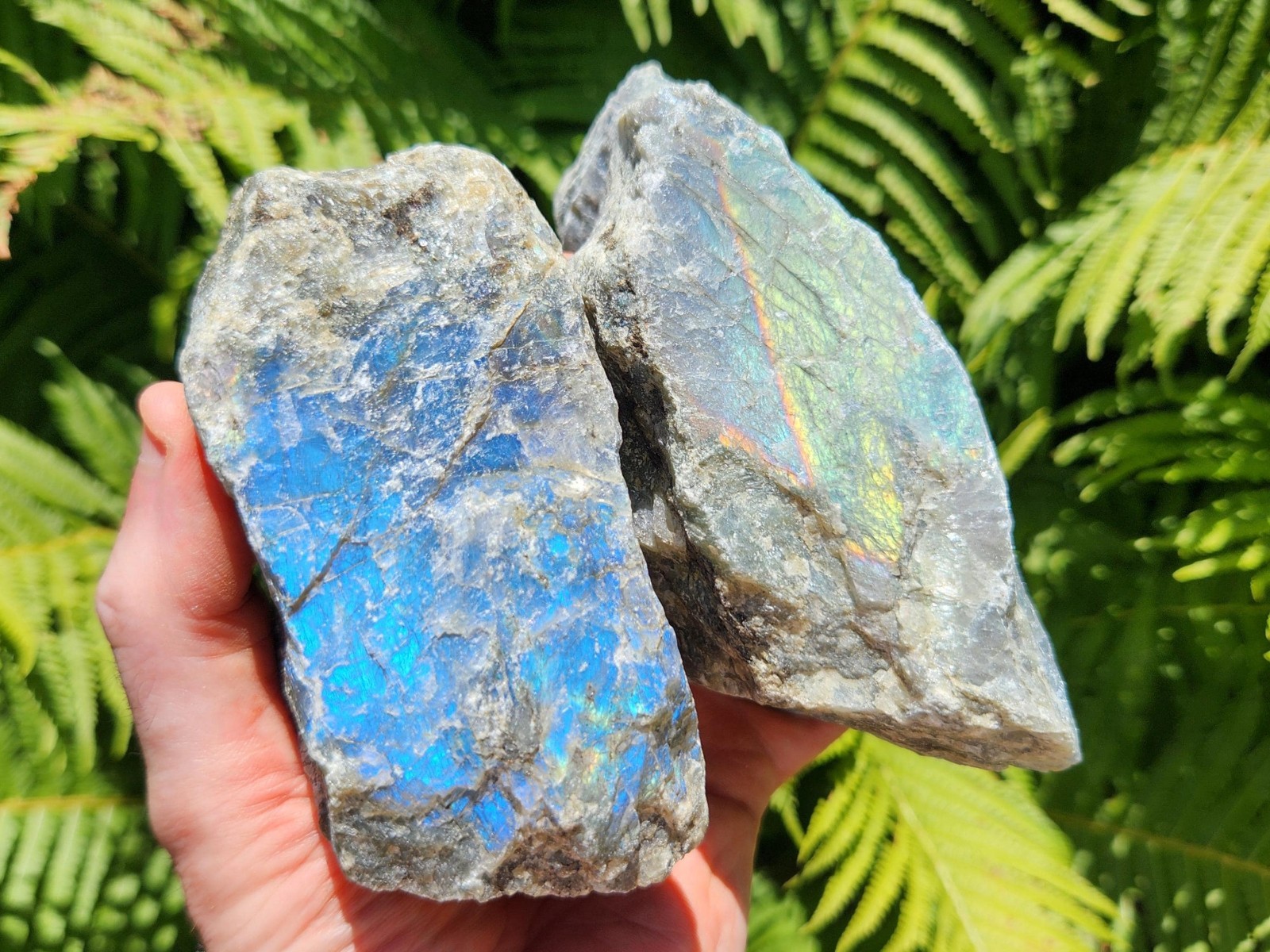 Lot of 2 Rough Peacock Labradorite Pieces, 3 lbs 11 oz total, Ideal for Lapidary