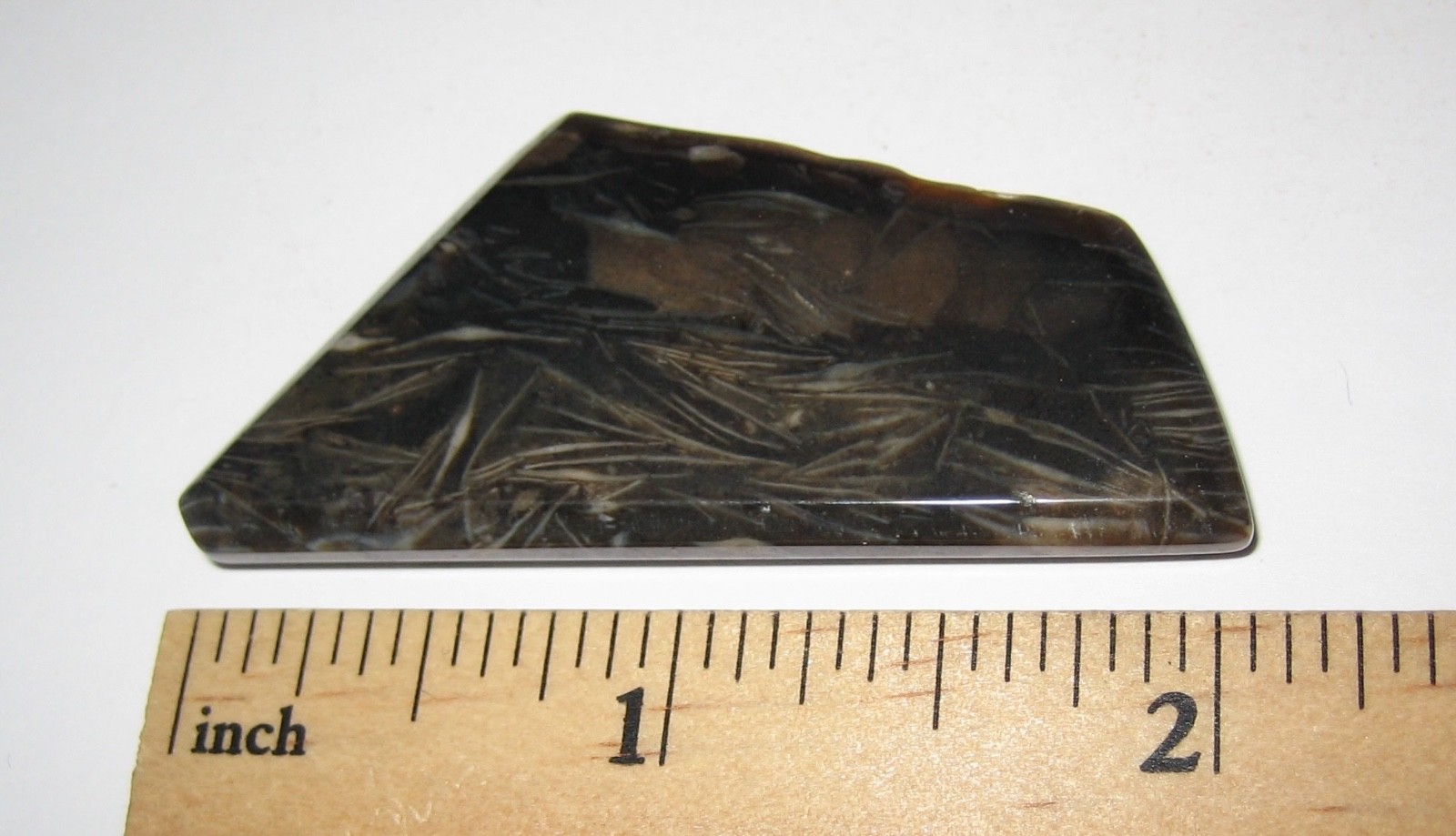 2.1″ x 1″ TUMBLED POLISHED CABOCHON STYLE CUT FOSSIL FORAMINIFERA STONE 12.7g *6
