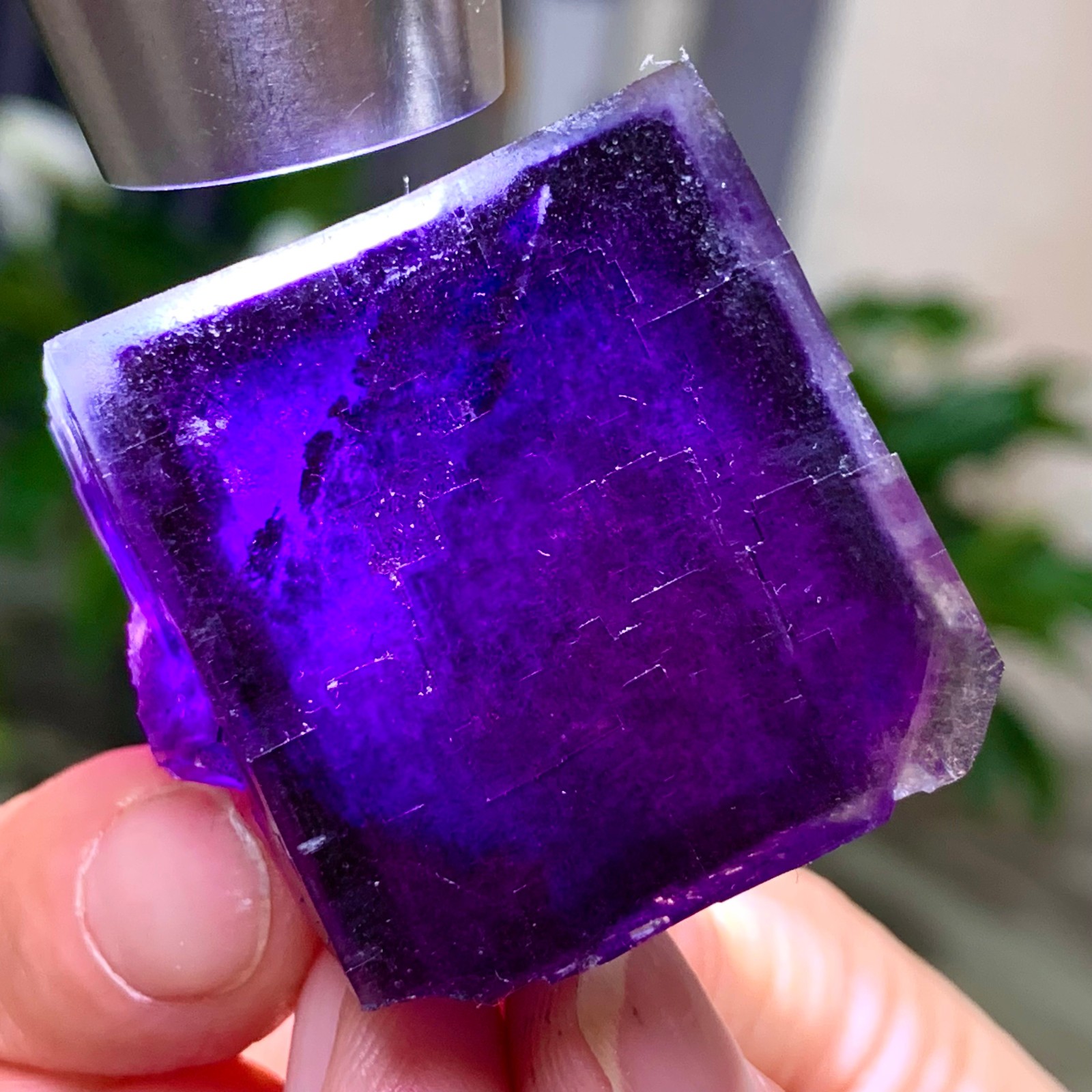 59G Inner Mongolia Natural Fluorite Purple Edged Cube Crystal Mineral Specimen