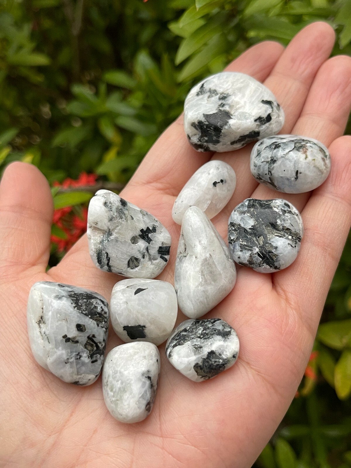 Rainbow Moonstone Tumbled Stone, 0.75-1″ Tumbled Rainbow Moonstone, Bulk Lots