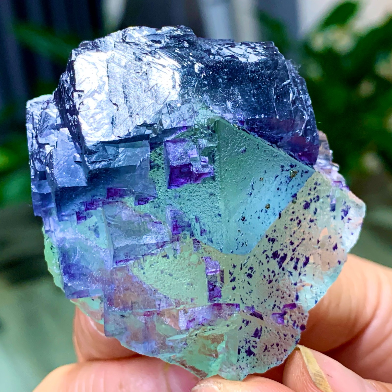 123G Rare transparent green purple cubic Zhejiang fluorite mineral sample