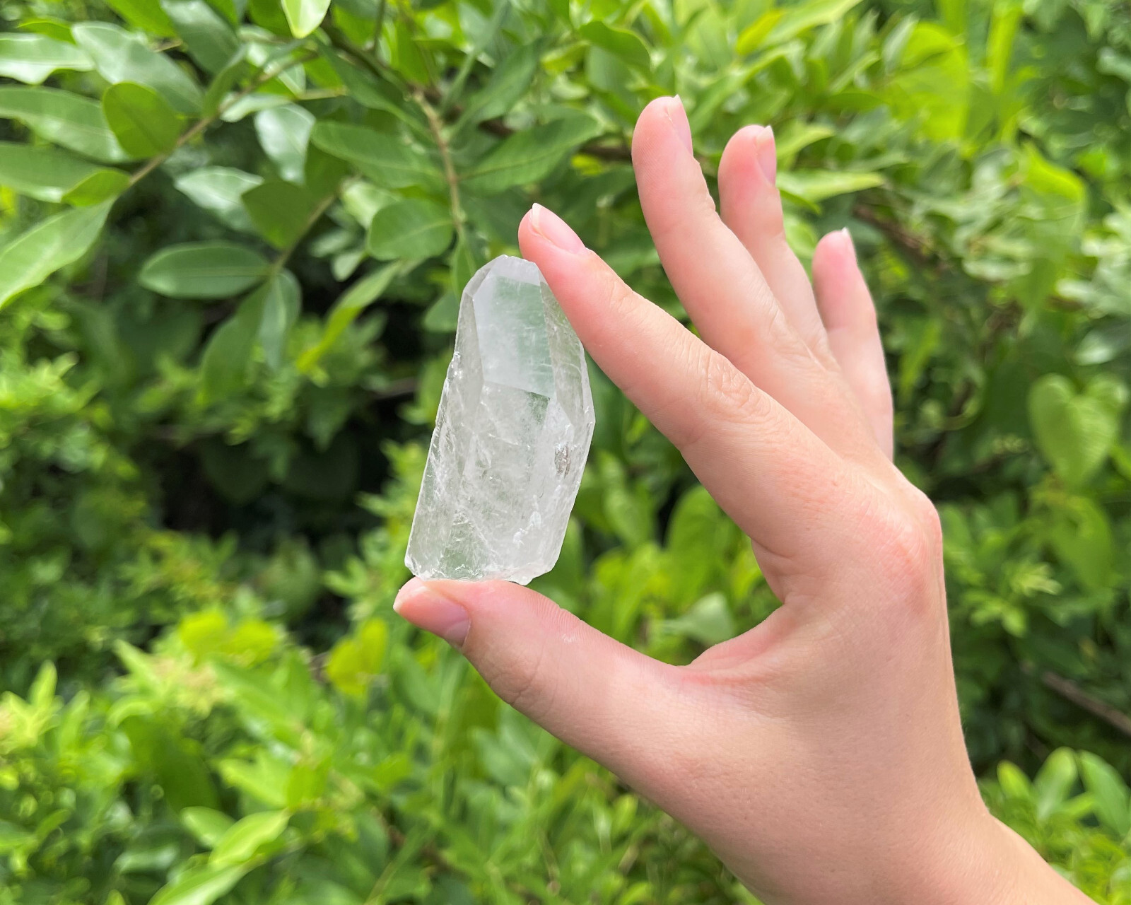 Clear Quartz Crystal Point (2″ – 3″) Natural Wand Specimen, Reiki Healing