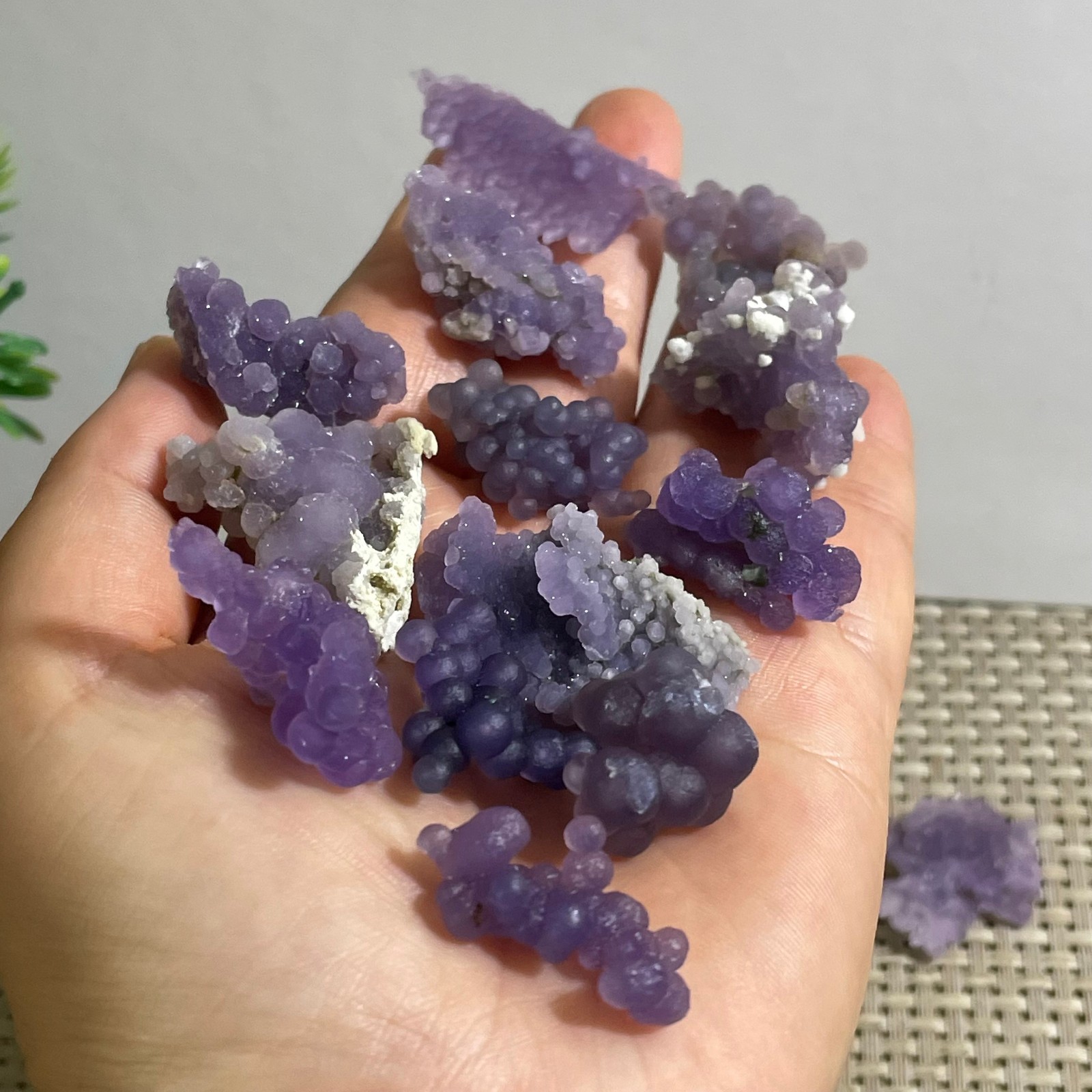 71g Purple stone, grape agate, quartz crystal, granular mineral 12pcs