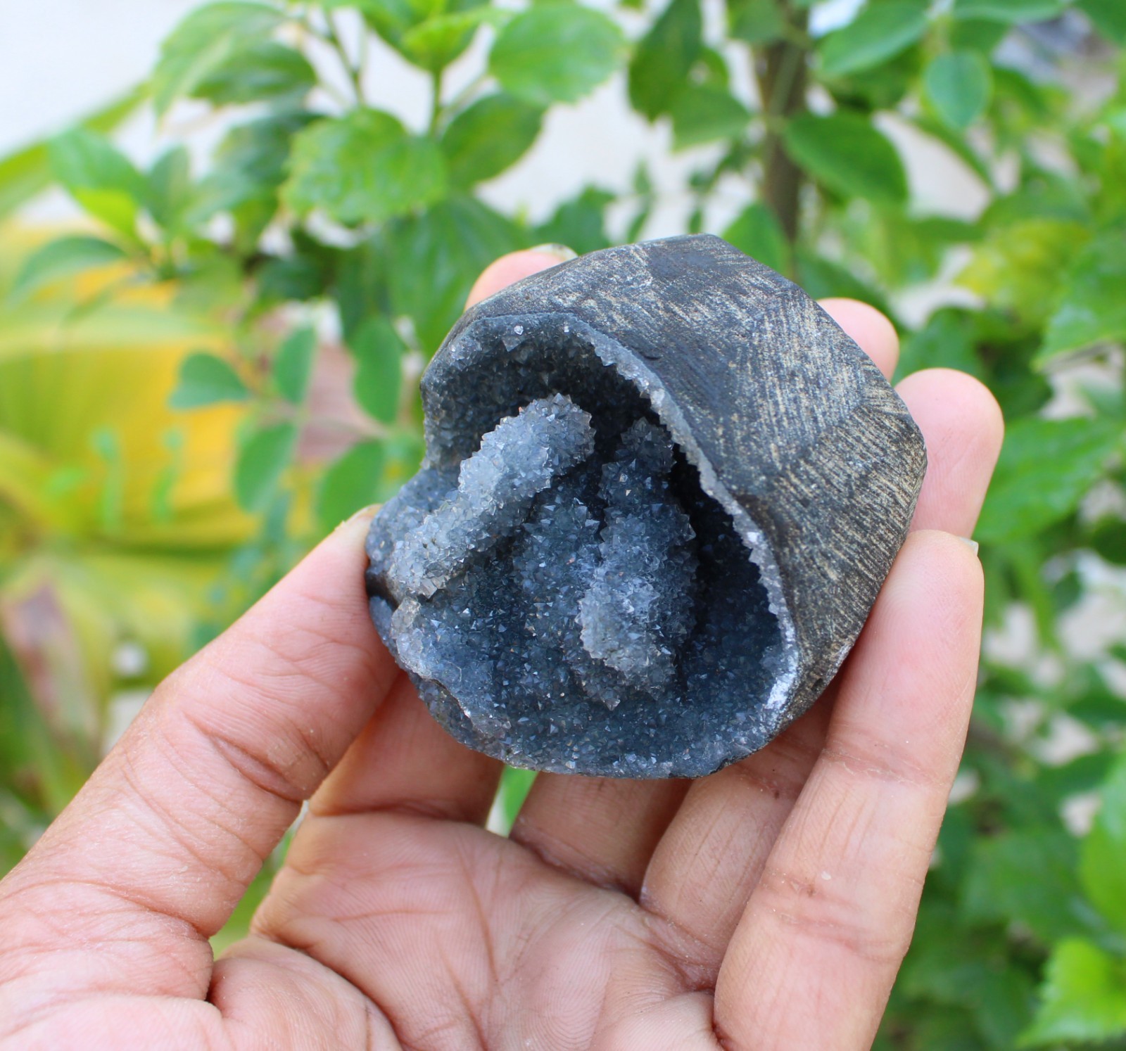 chalcedony coral geode minerals specimen #A43
