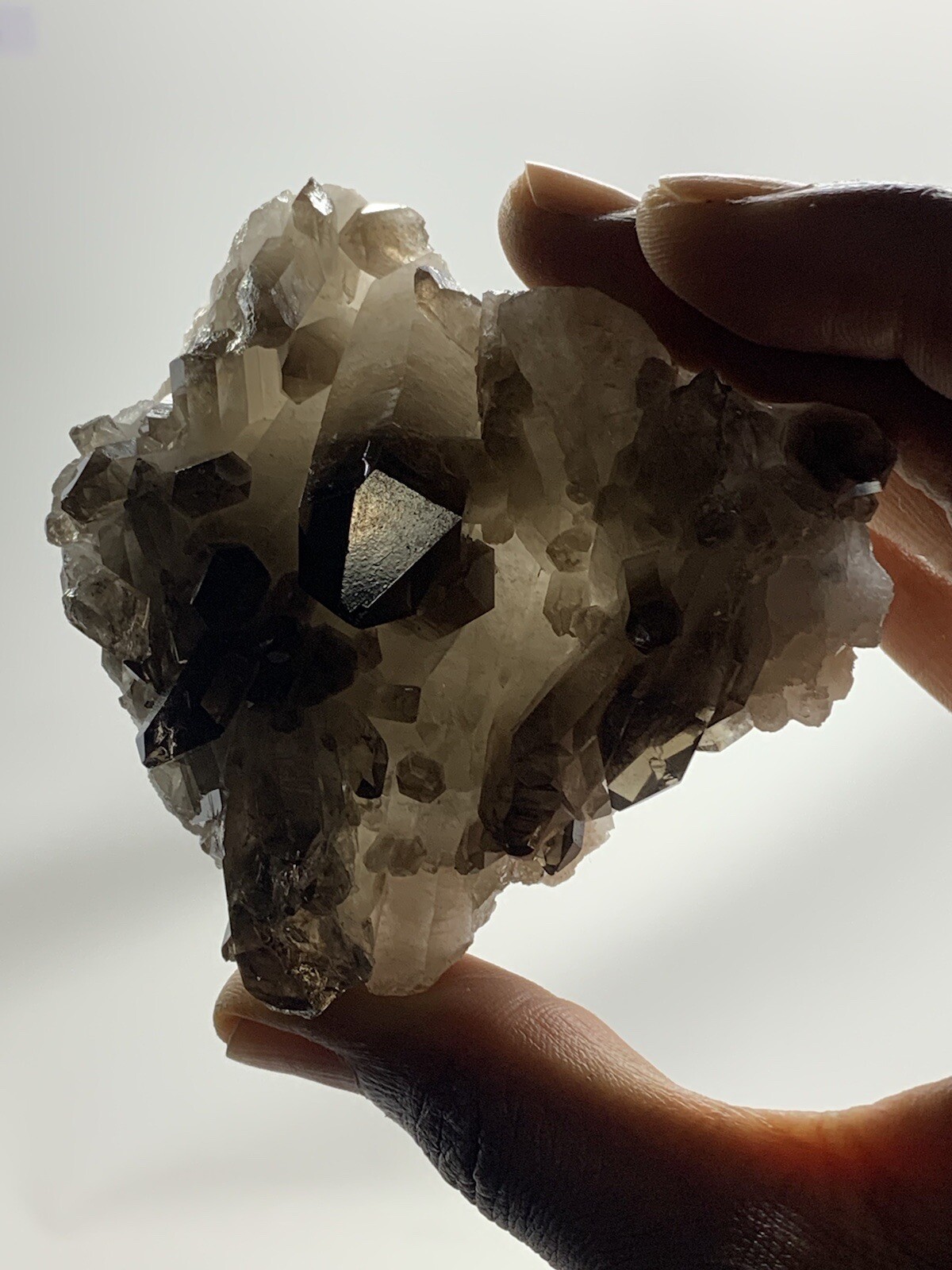 Natural Smoky Quartz Point Wand Brazil 7.0oz Crystal S6