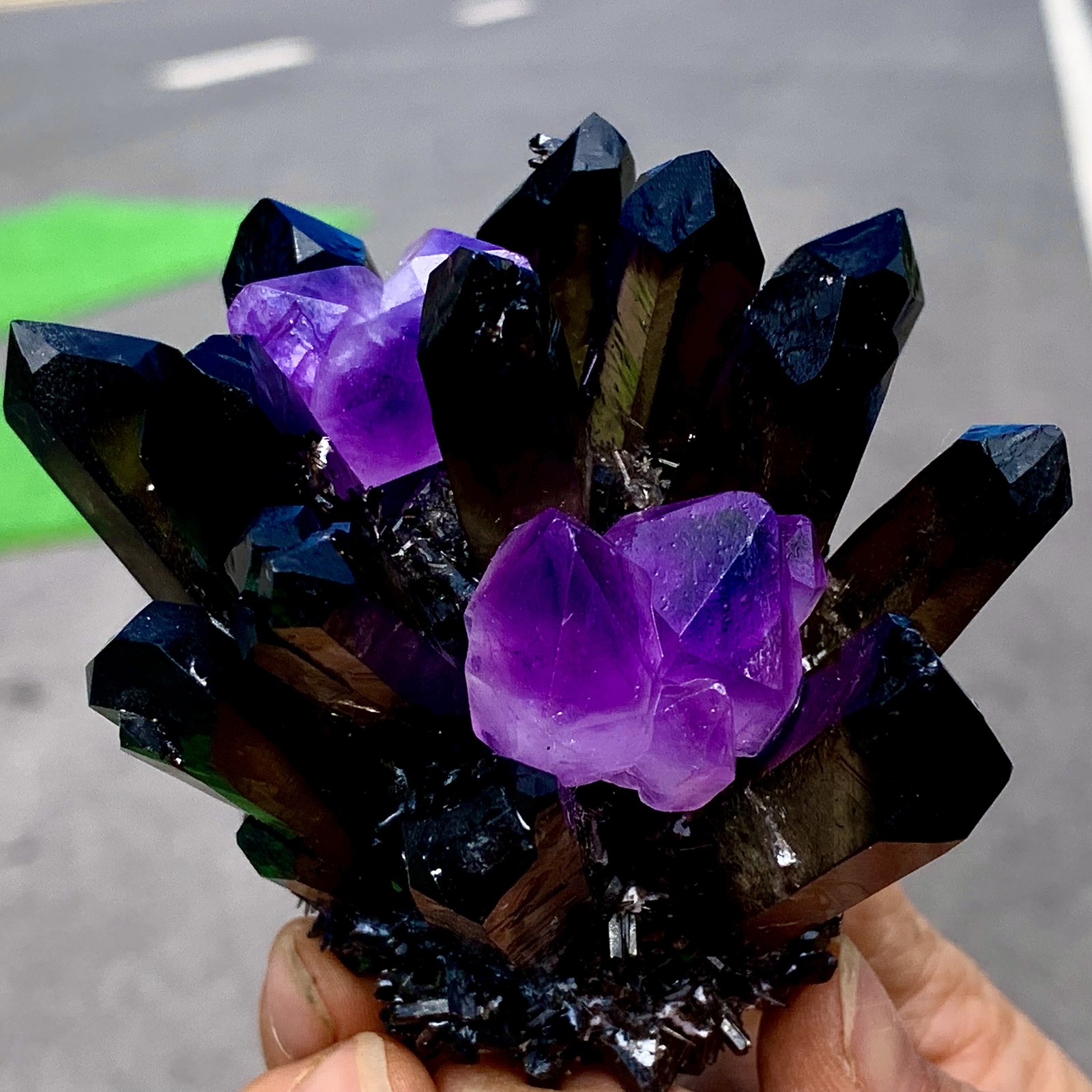 268G New Find black+purple Phantom Quartz Crystal Cluster Mineral Specimen