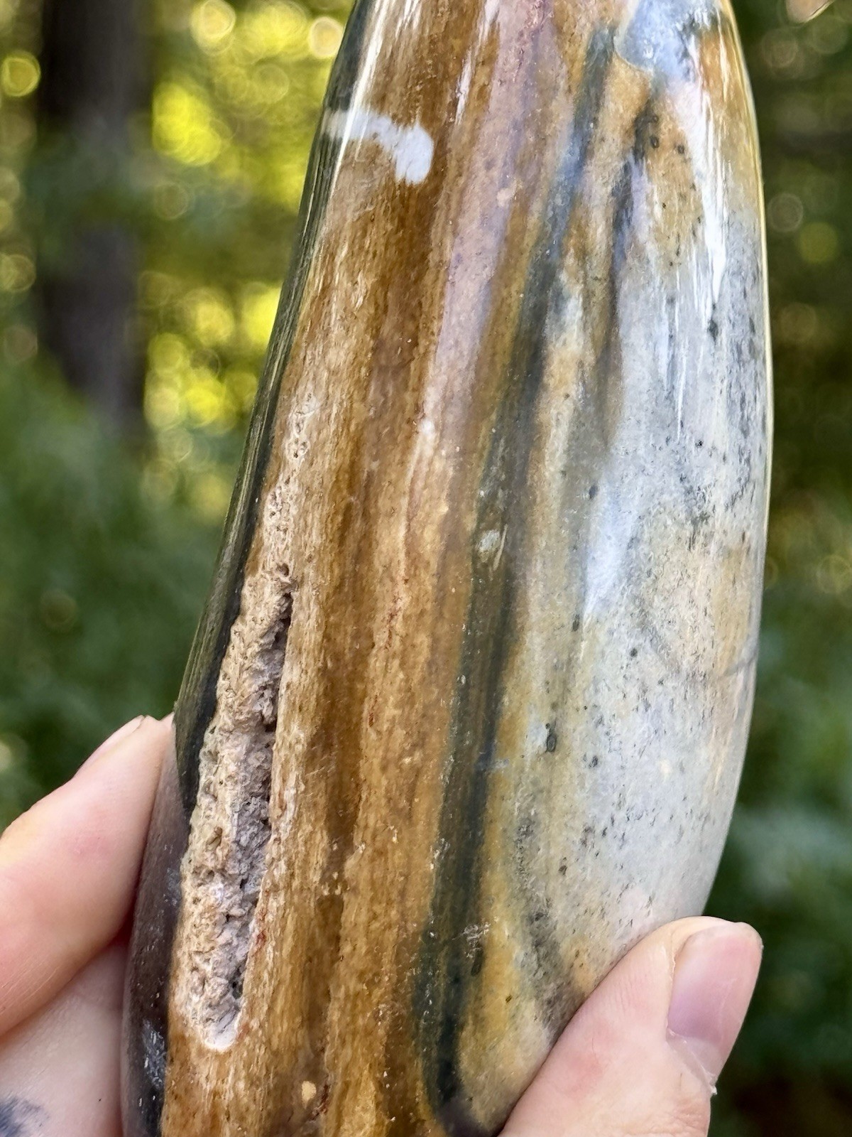 Large Polychrome Jasper Freeform 740g Polished Desert Jasper Display Stone
