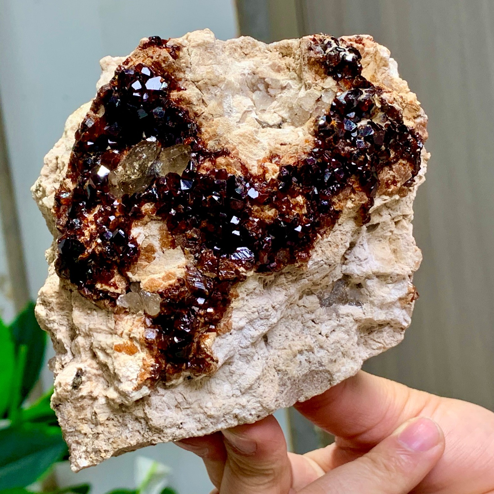 1.92LB Natural Garnet with smokey quartz cluster Crystal Mineral Specimen