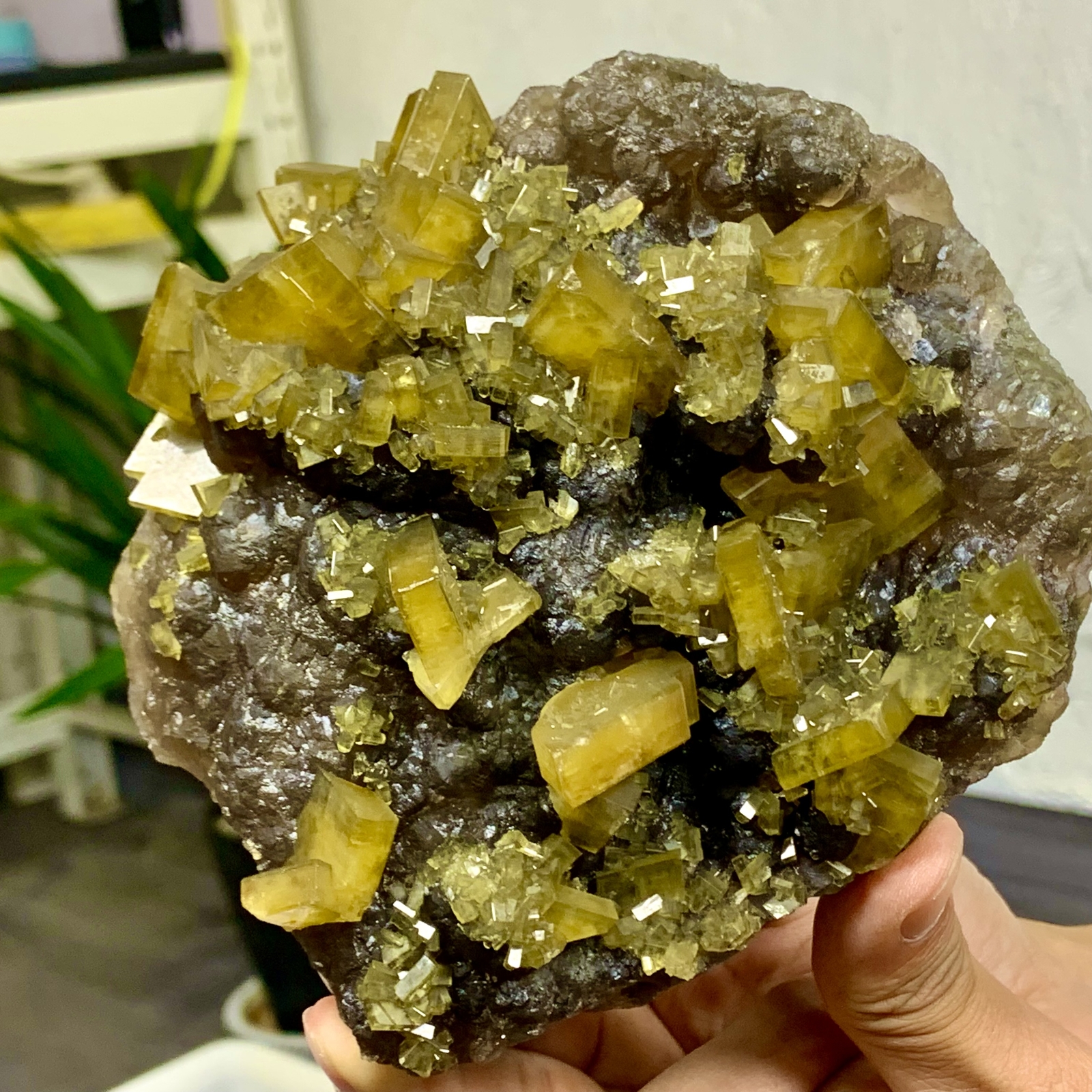 2.76LB Shiny Golden Cuboid Barite Crystal Based on the Purple Spherical Fluorite