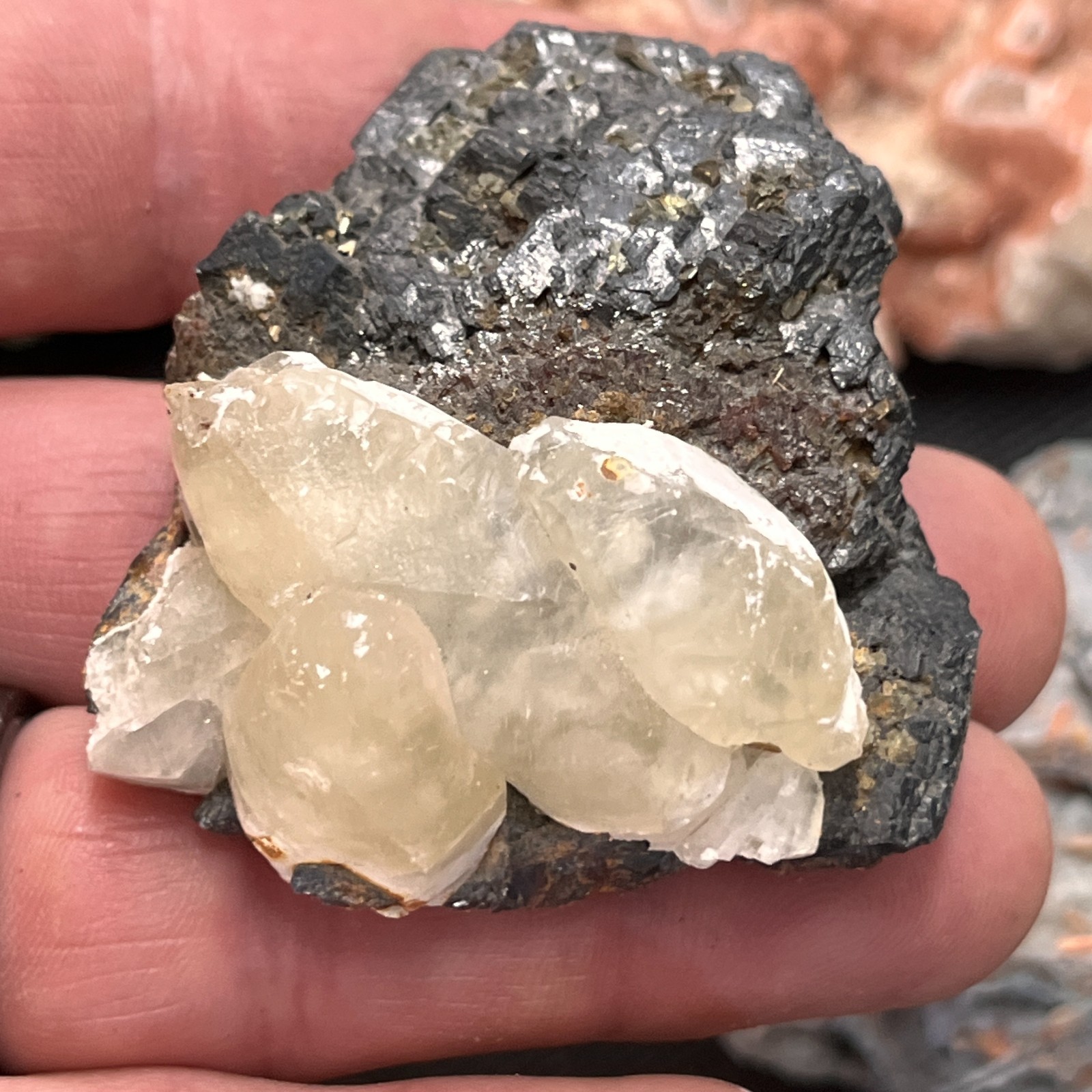 Crystals, Minerals, Natural Stone Specimens – MIXED ESTATE COLLECTION LOT #1198
