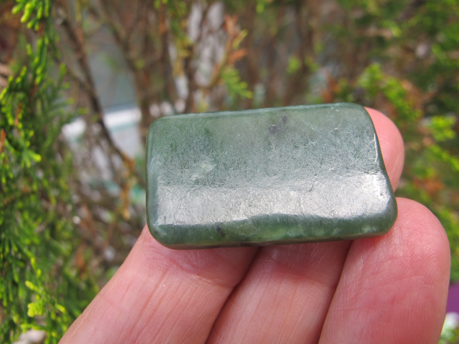 Nephrite Jade Authentic Crystal Polished Palm flat stone A luck heart chakra 8g