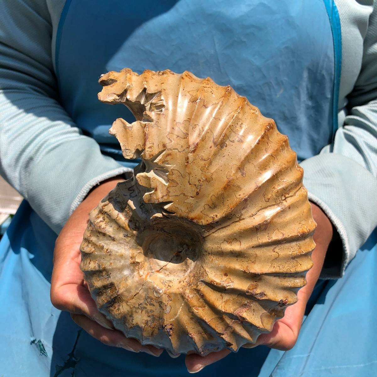 4.18LB Rare! Natural Tentacle Ammonite Specimen Healing Madagascar