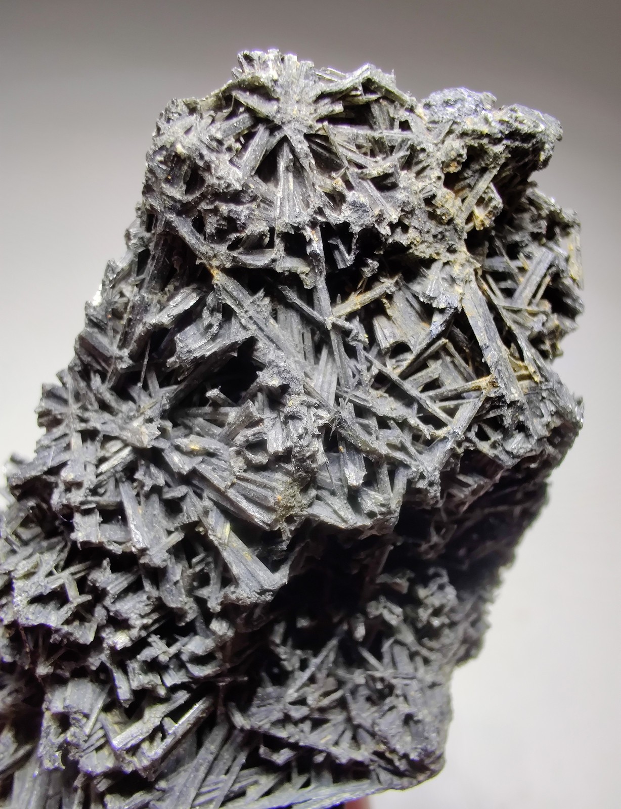 Jamesonite crystals, no matrix. Sombrerete, Zacatecus, Mexico. 6 cm.