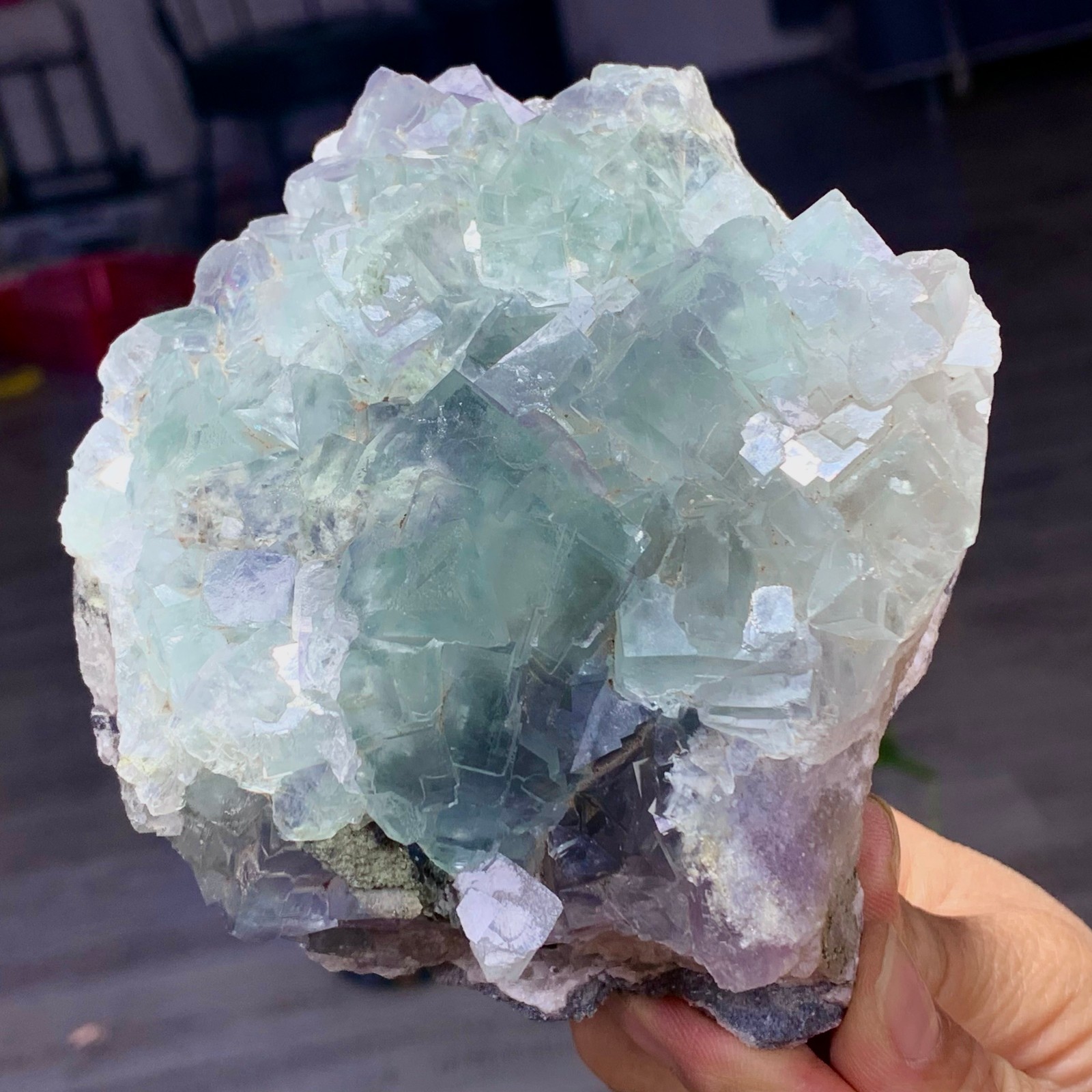1.87LB Natural transparent green cubic fluorite mineral crystal sample/China