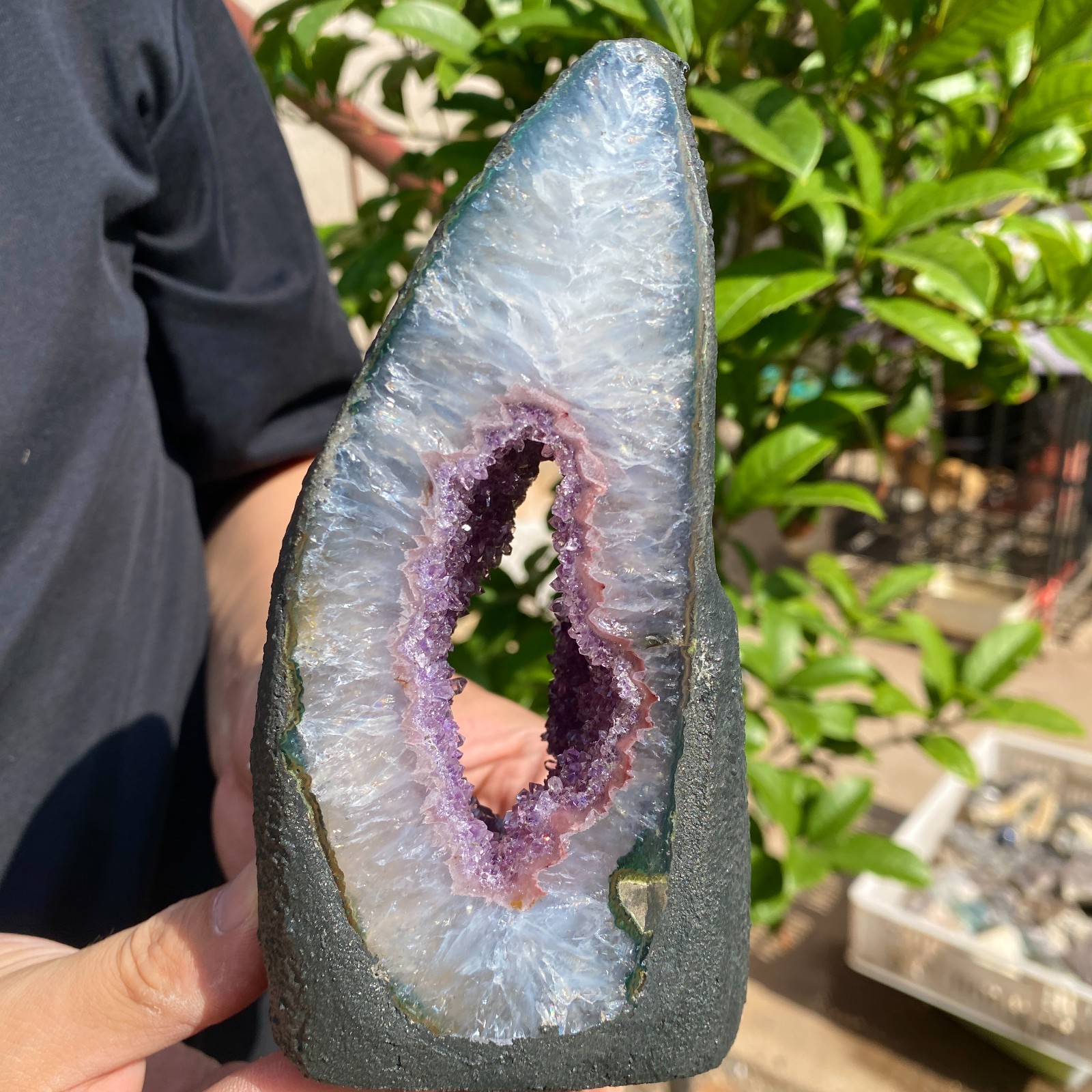 730G Natural Amethyst geode quartz cluster crystal specimen Healing