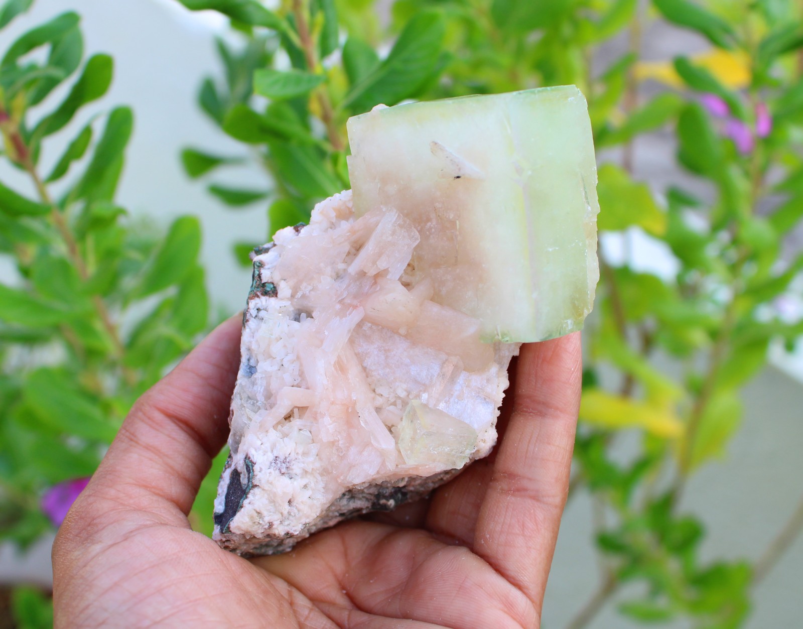 Green Apophyllite Crystals w/ Stilbite Minerals Specimen #A49