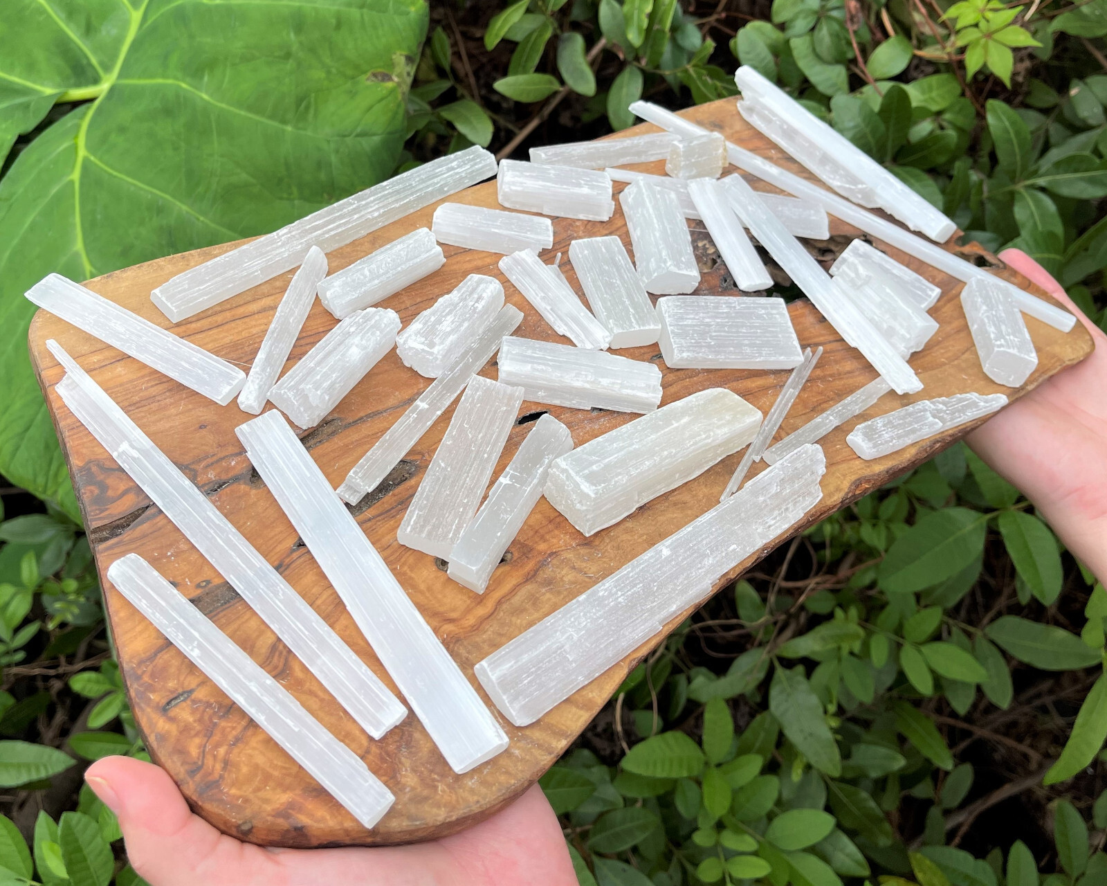 HUGE 10 lb Bulk Wholesale Lot Selenite Logs Crystal Sticks Wand Blades CLEARANCE