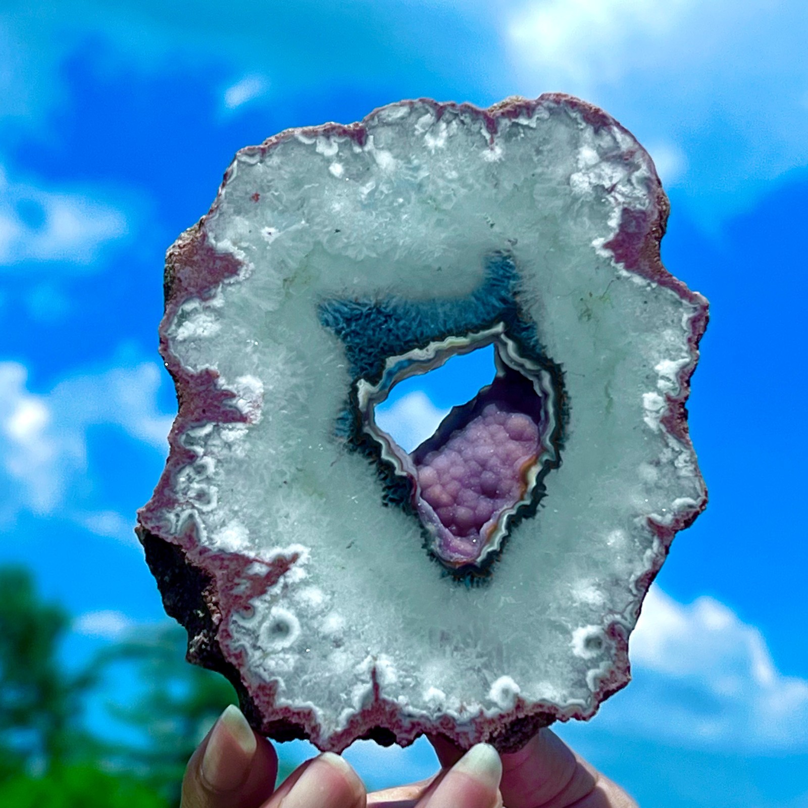212G Natural Colorful Lace Agate Geode Slice Extra Large Gem From Argentina