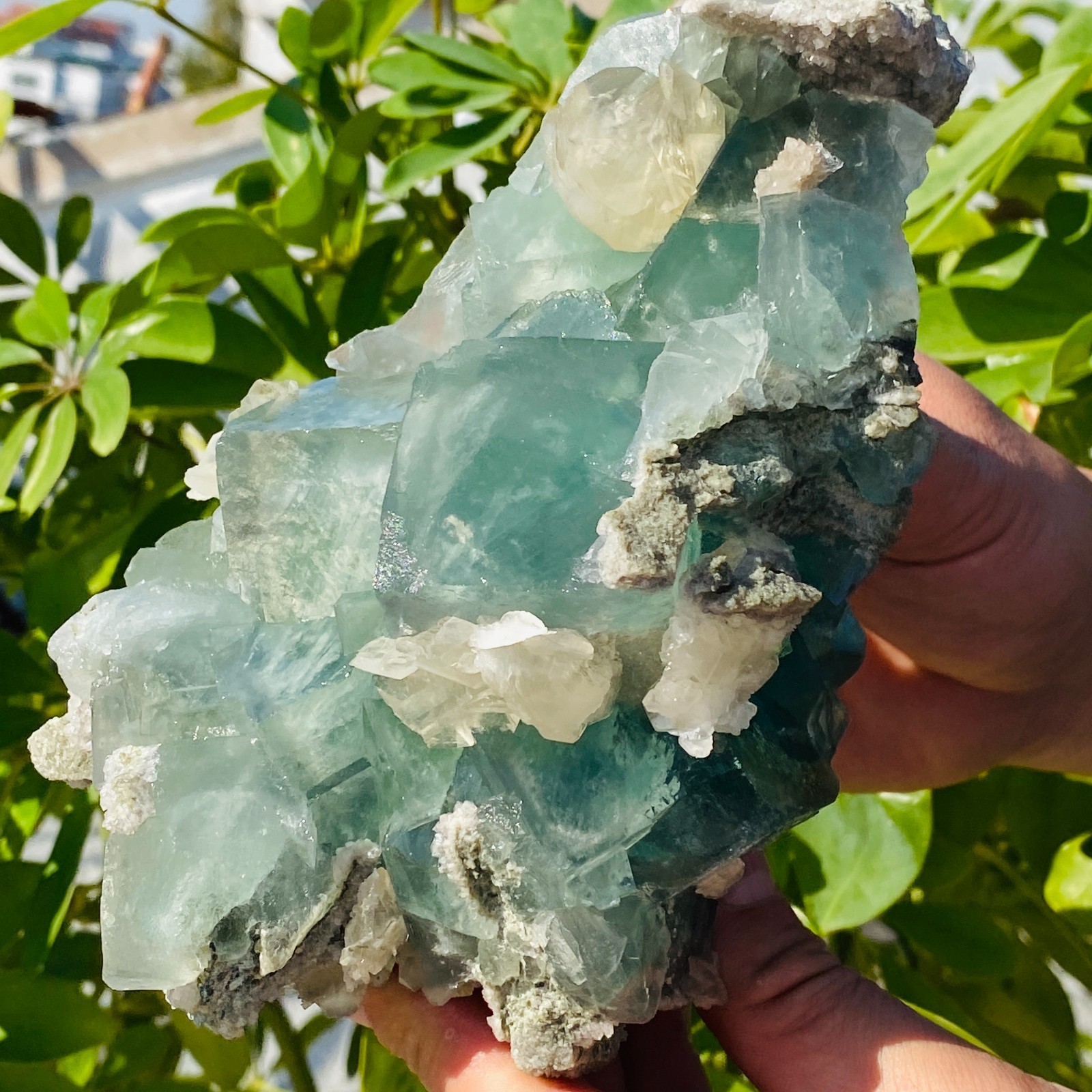 1706g Natural transparent blue green fluorite mineral crystal sample/China