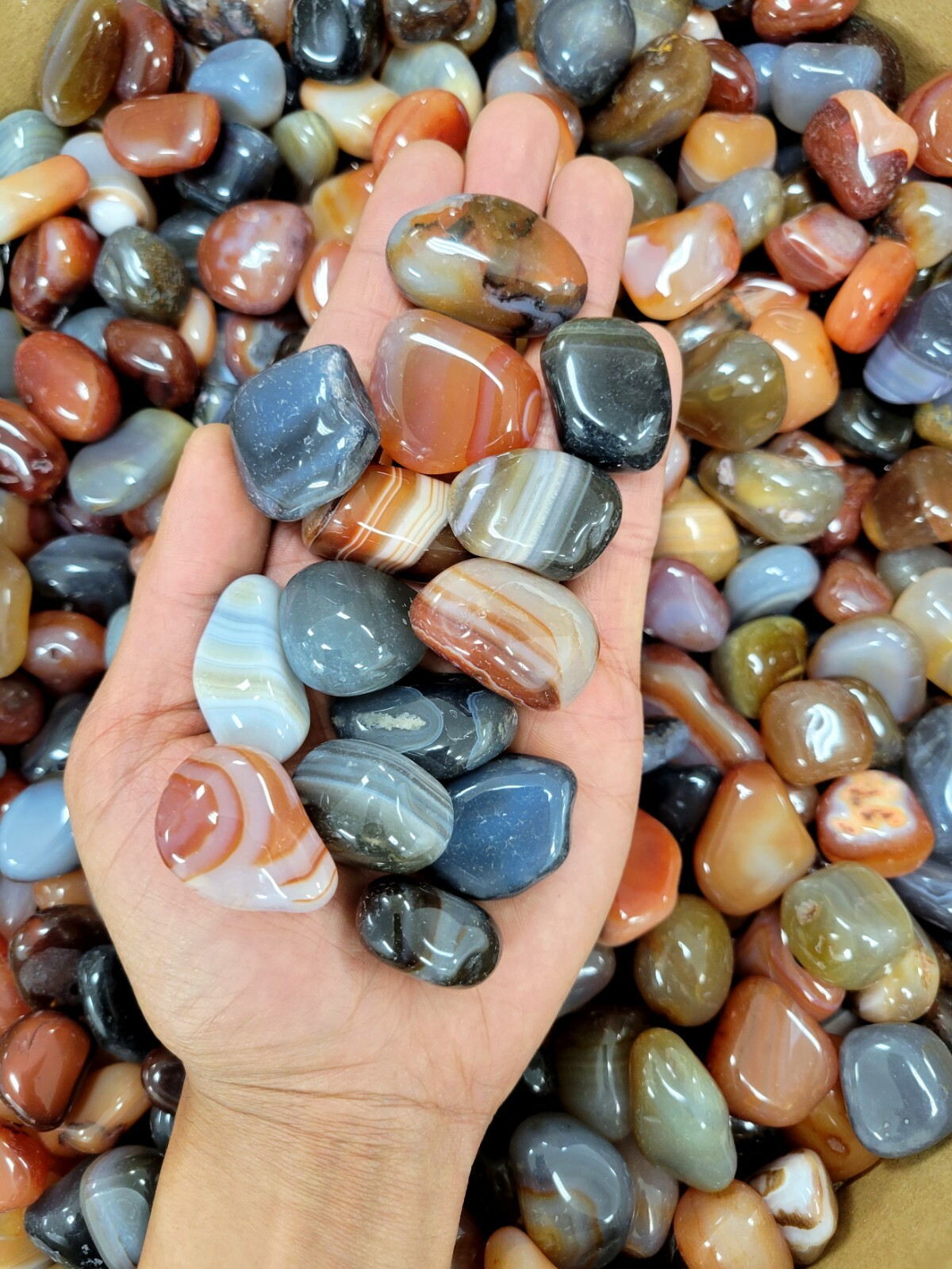 Tumbled Stones Assorted – Mixed Polished Agate Crystals – Bulk Crystals Blend