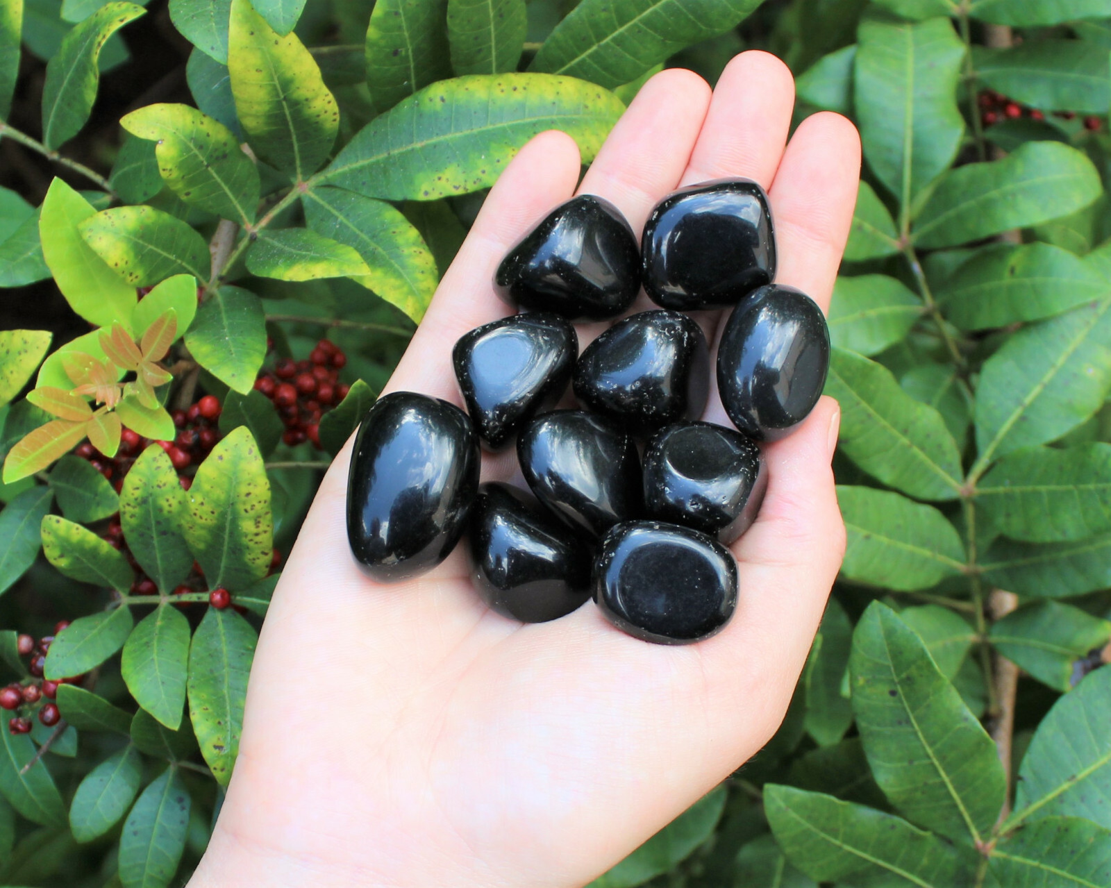 1/2 lb Bulk Lot: Black Obsidian Tumbled Stone (Crystal Healing Reiki) 8 oz