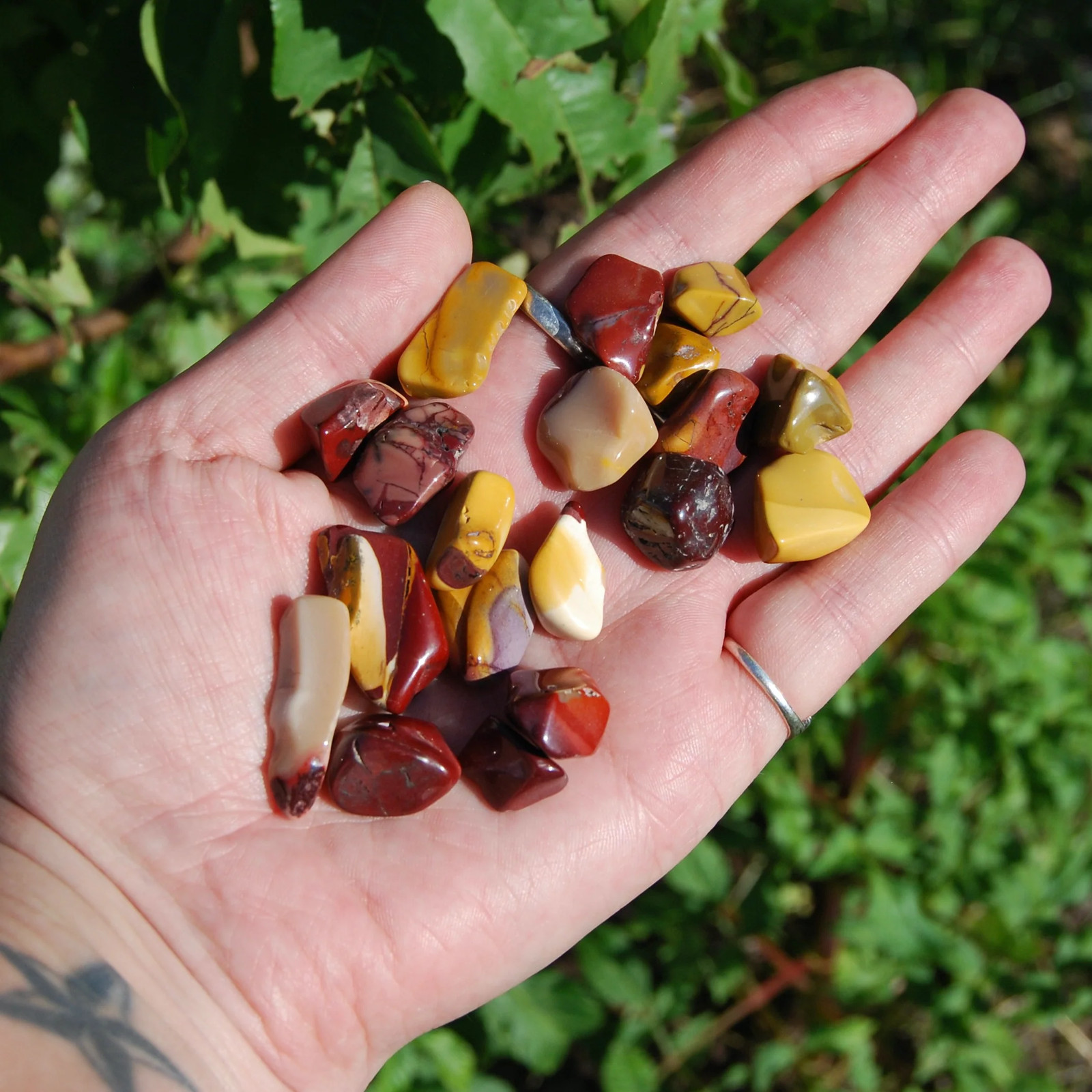 6pcs Mookaite Jasper Tumbled Stones, Small Crystal Set