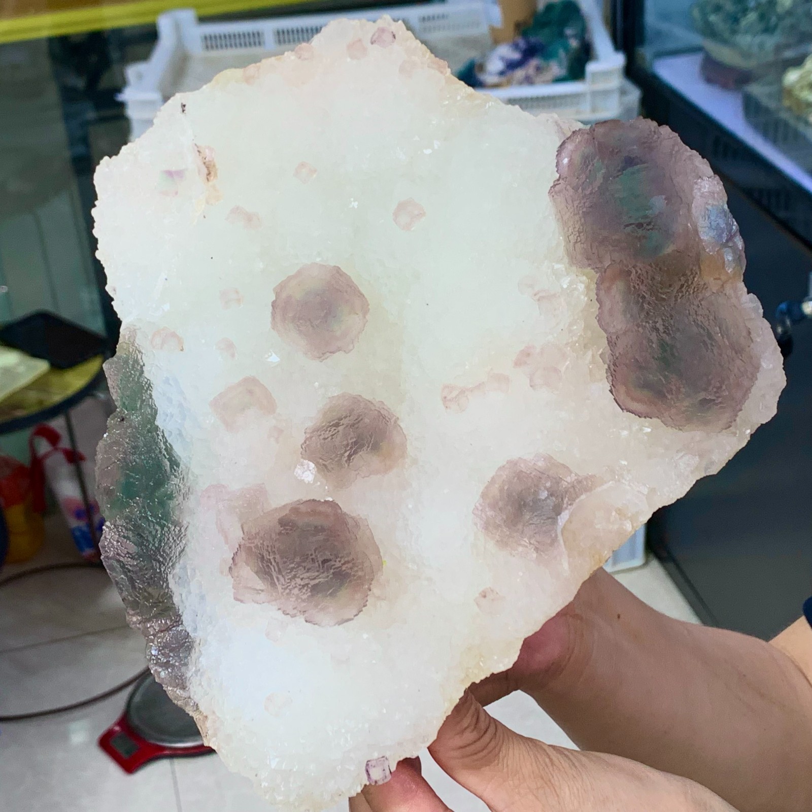 5.96LB Natural Bubble fluorite Purple cubic mineral crystal sample/Zhejiang