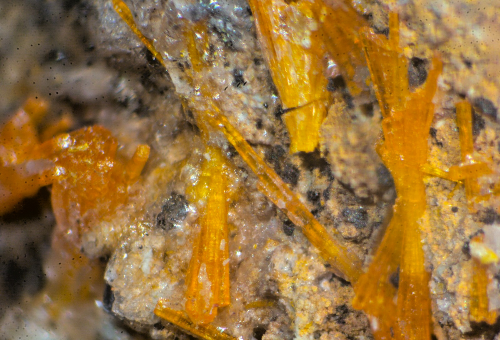 Mimetite: Mammoth St. Anthony Mine, Tiger, Pinal Co., Arizona