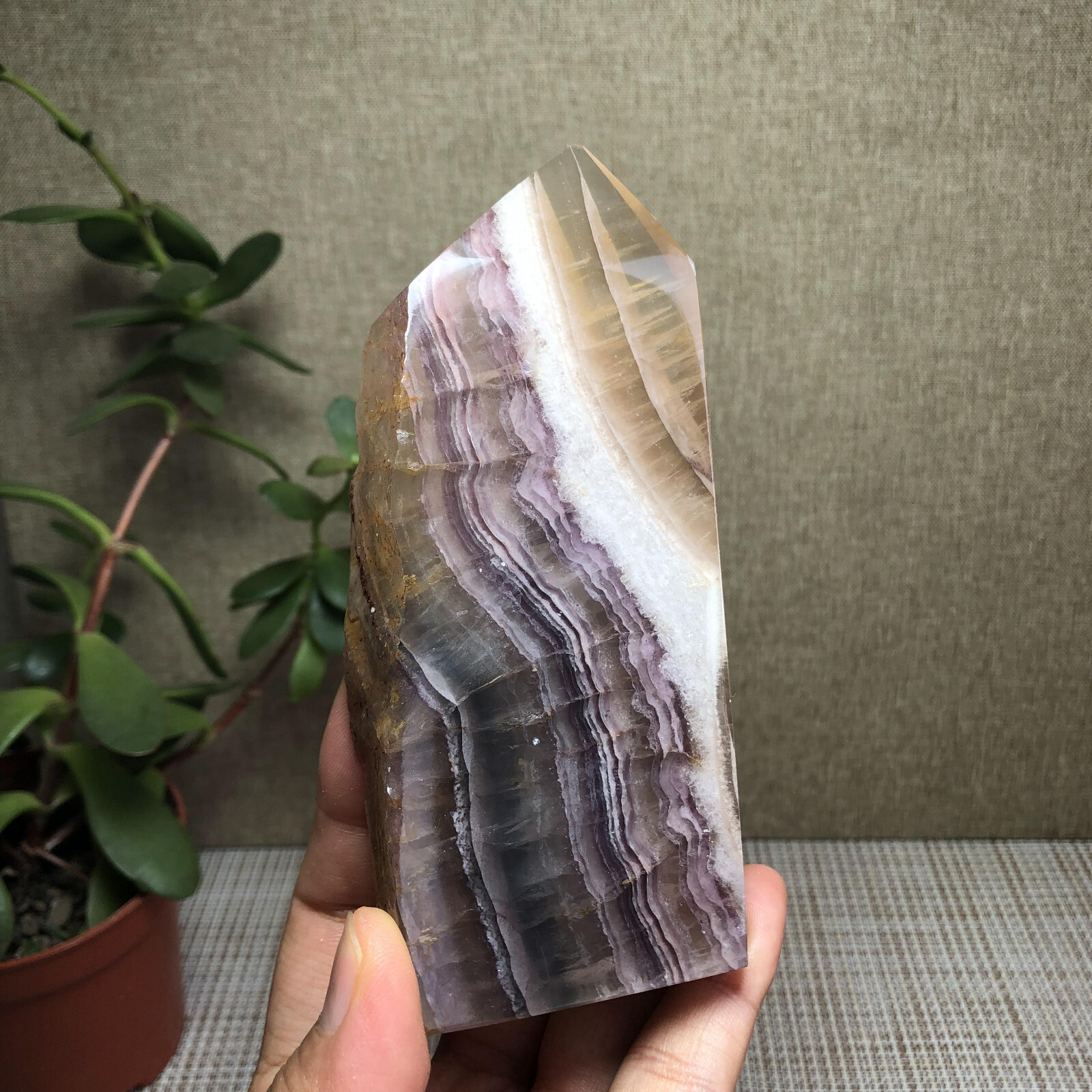 317g Natural candy Fluorite Polish/Rough wand Crystal free standing 120mm A2895