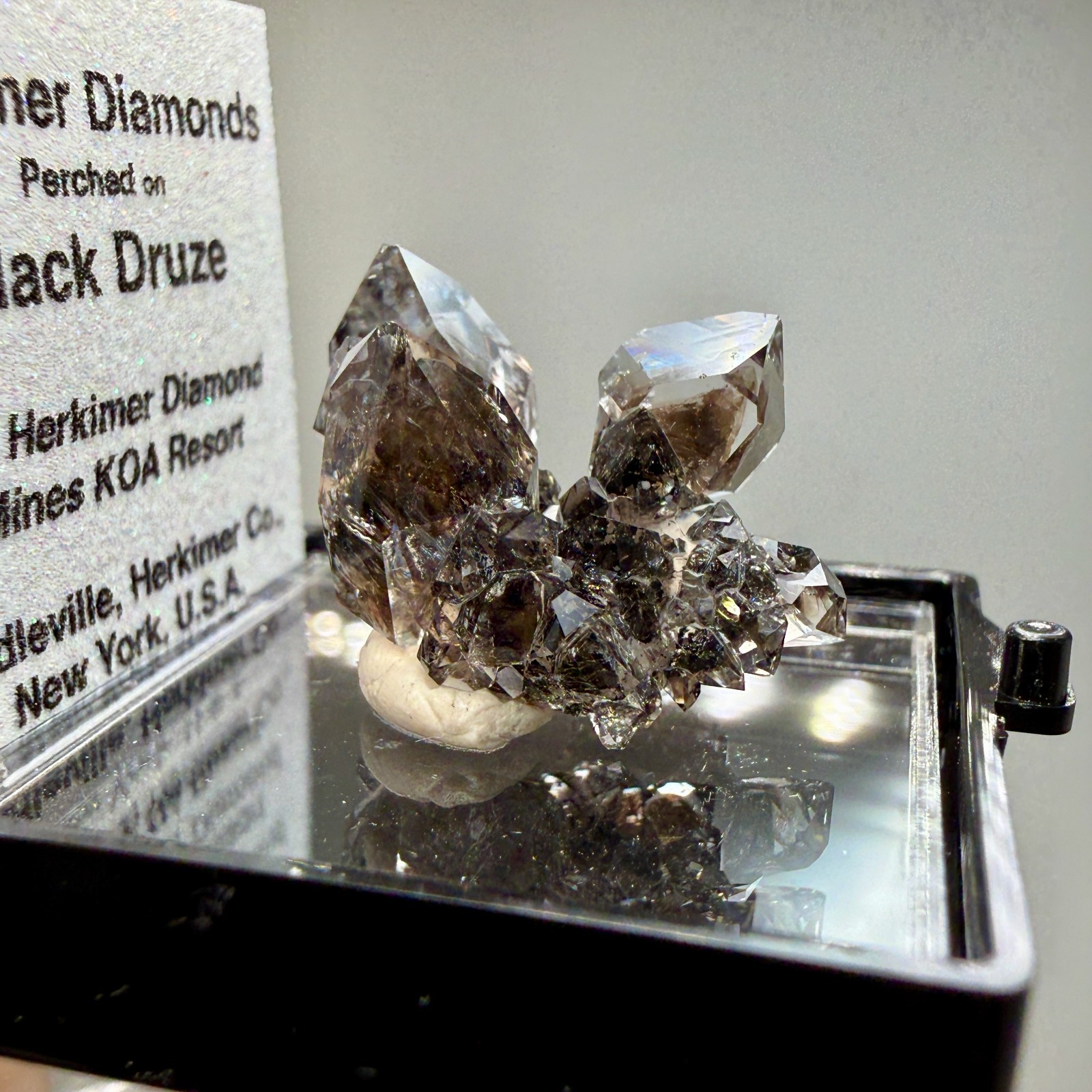 Herkimer Diamond Gems Perched on Druzy Matrix, Complete Floater, Top Shelf Piece