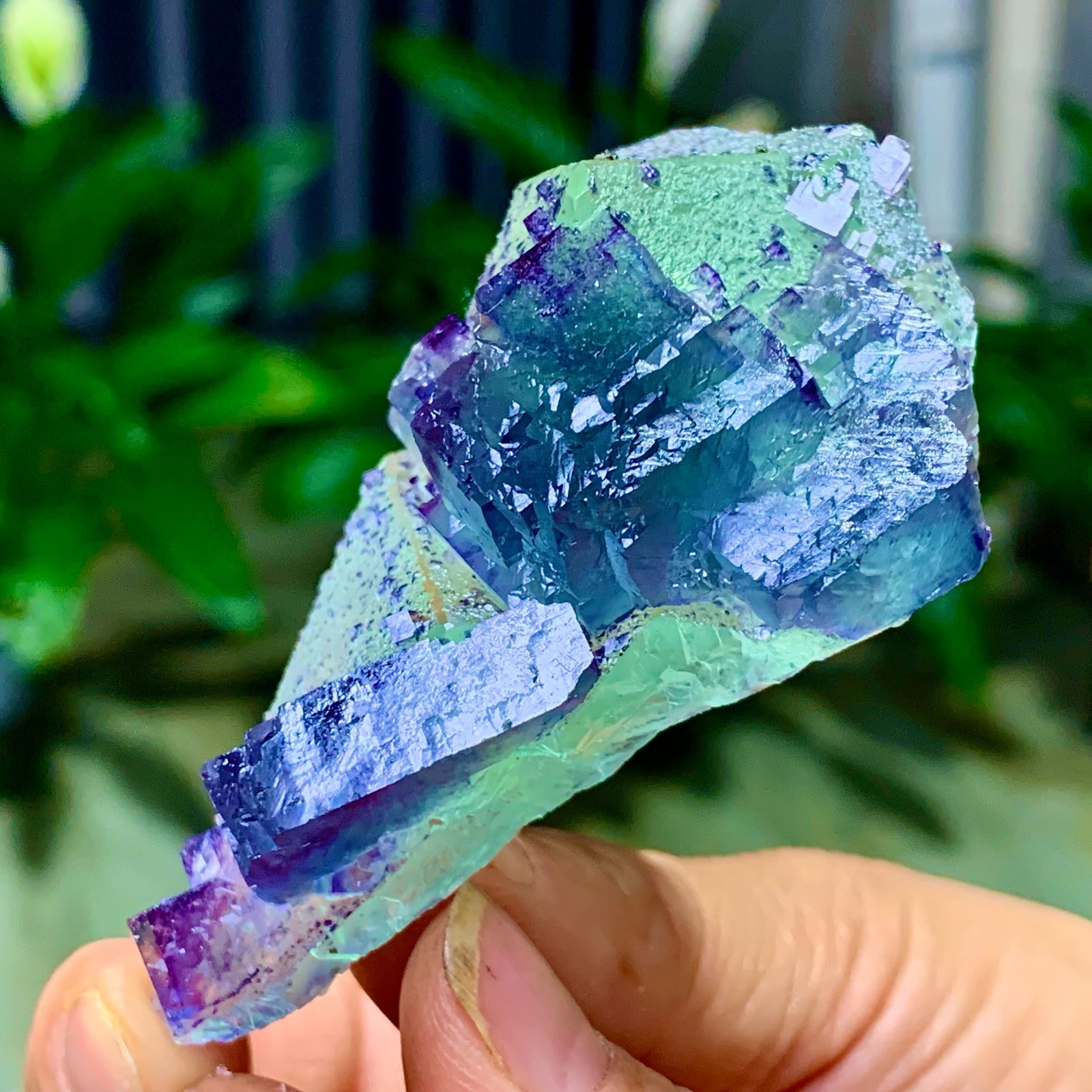 86G Rare transparent green purple cubic Zhejiang fluorite mineral sample