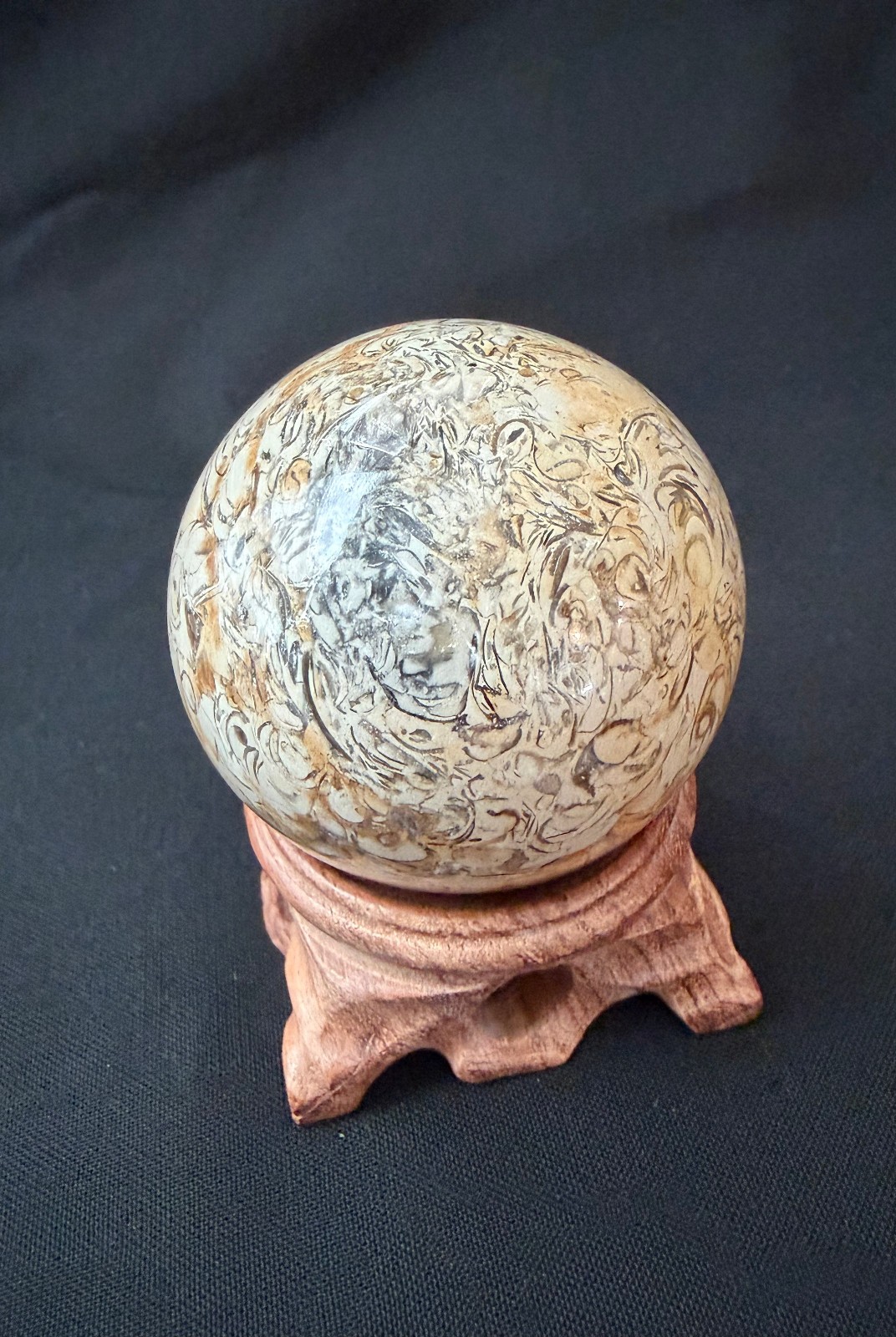 54mm Natural Fossil Shell Stone Sphere Polished Crystal Orb Display Ball