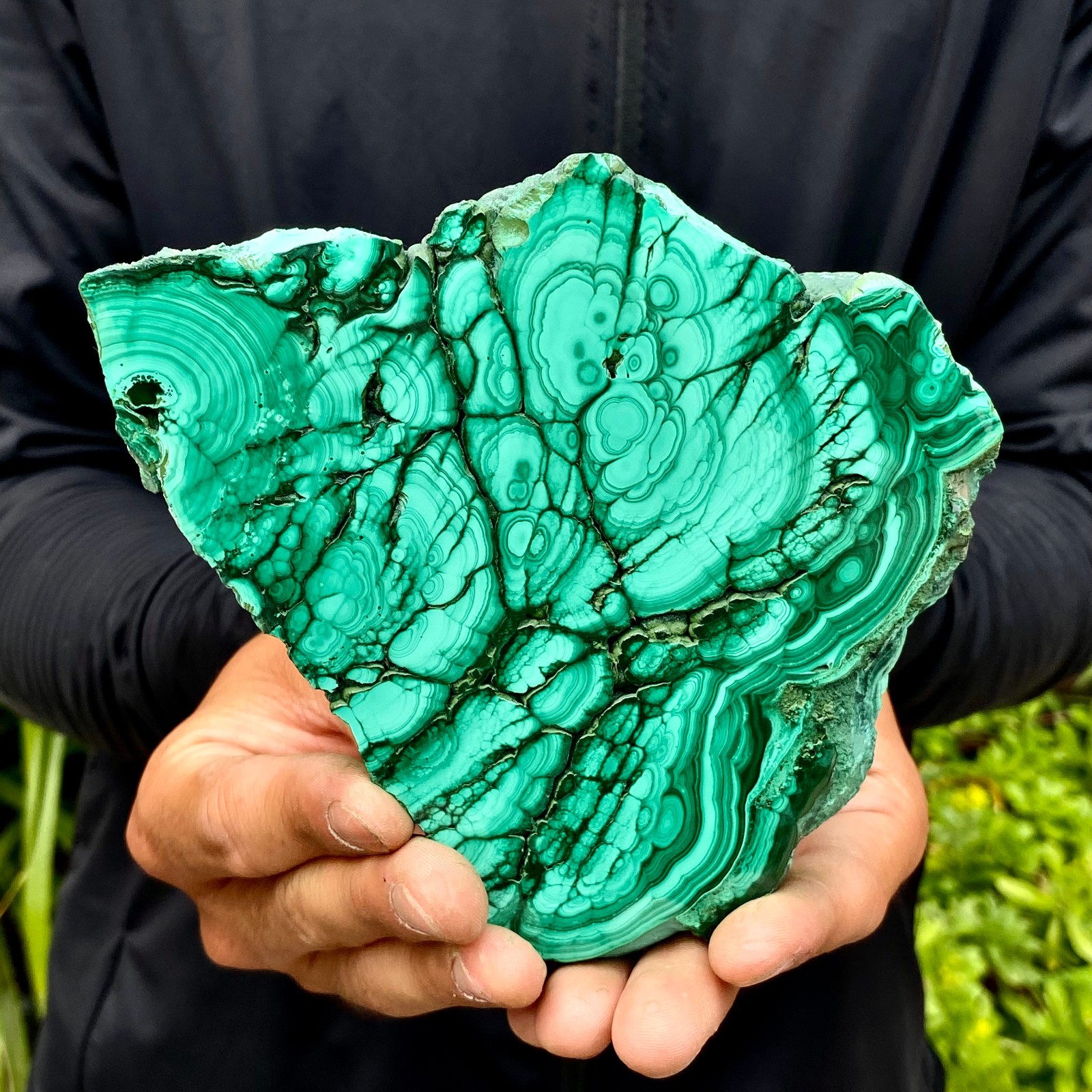 1.29LB Natural malachite slice quartz crystal luster mineral specimen