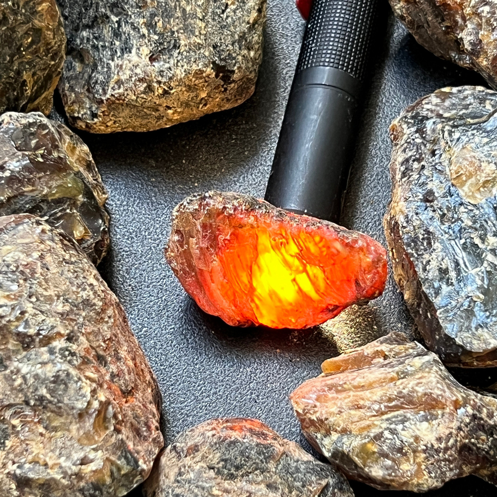 Black Amber Fossilized Tree Resin Mixed Sizes Rough Stones (By Piece or Pound)