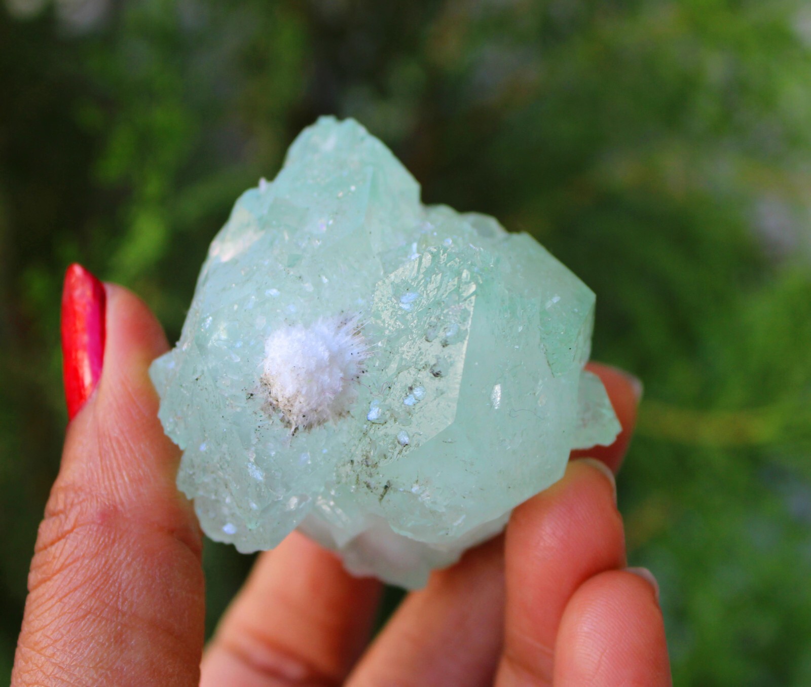 Green Apophyllite Crystal w/ Okenite Natural Minerals Specimen ( 5×4 Cm’s )