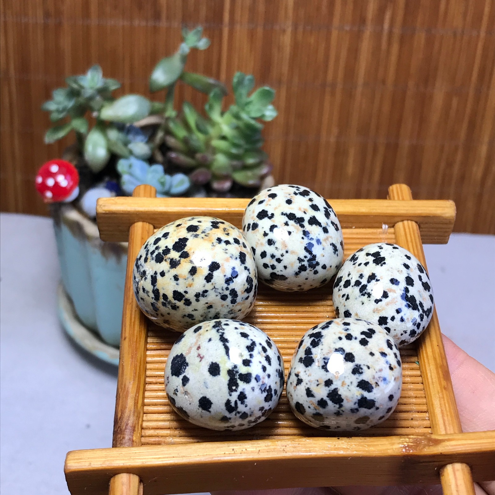 24-24-18mm 5Pcs Natural spotted stone Crystal gemstone Mineral Specimen A5717