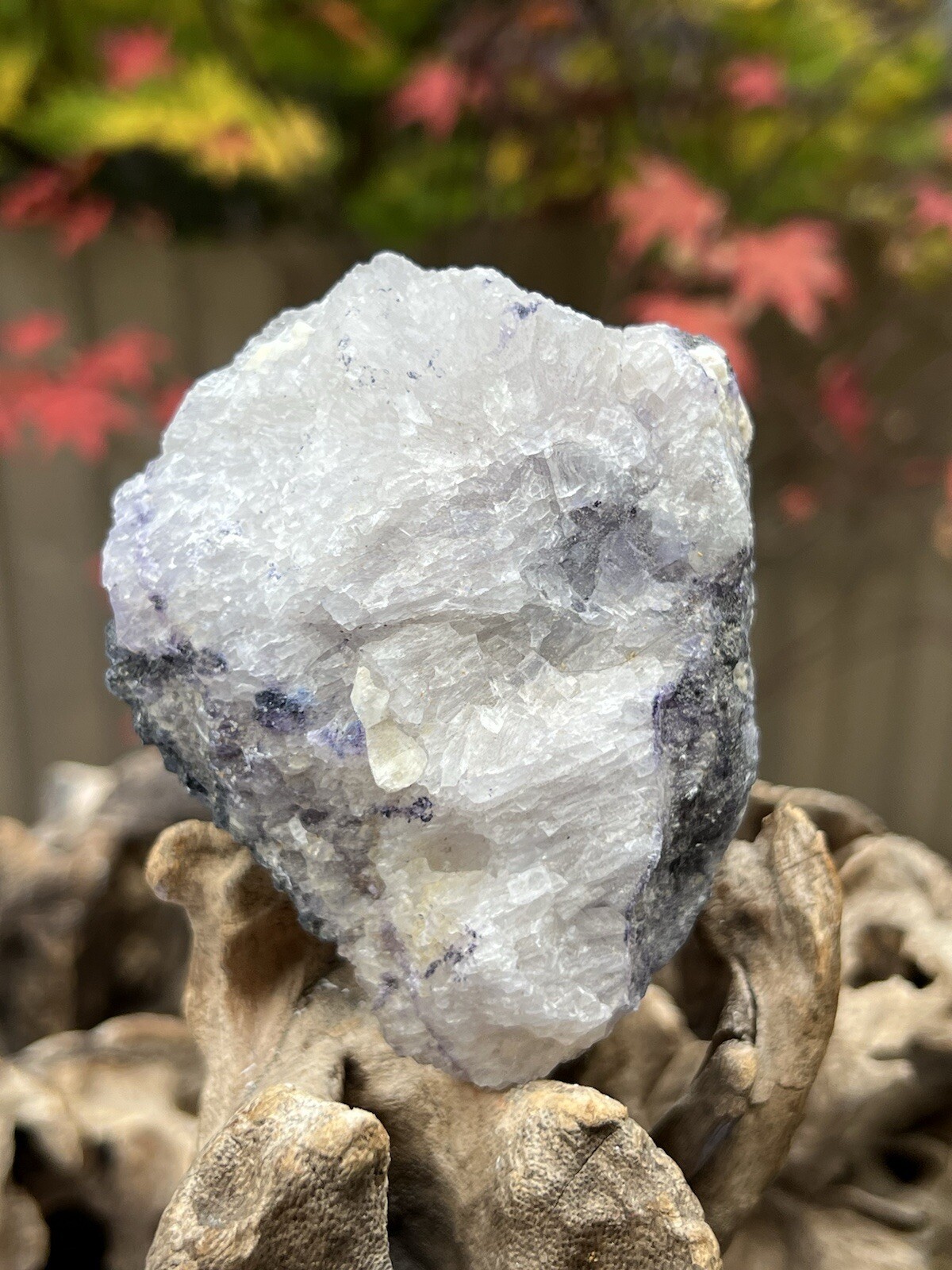 Blue John Fluorite Mineral Specimen United Kingdom 307g 10