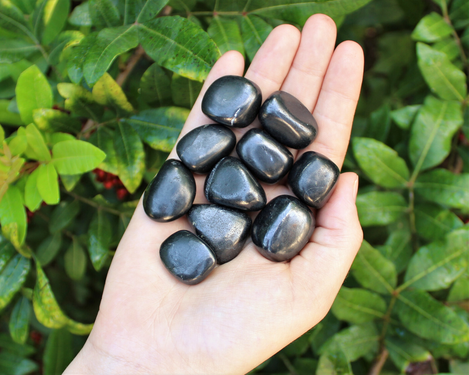 1 Shungite Specimen Tumbled Stone; Medium (Crystal Healing Gemstone Reiki)