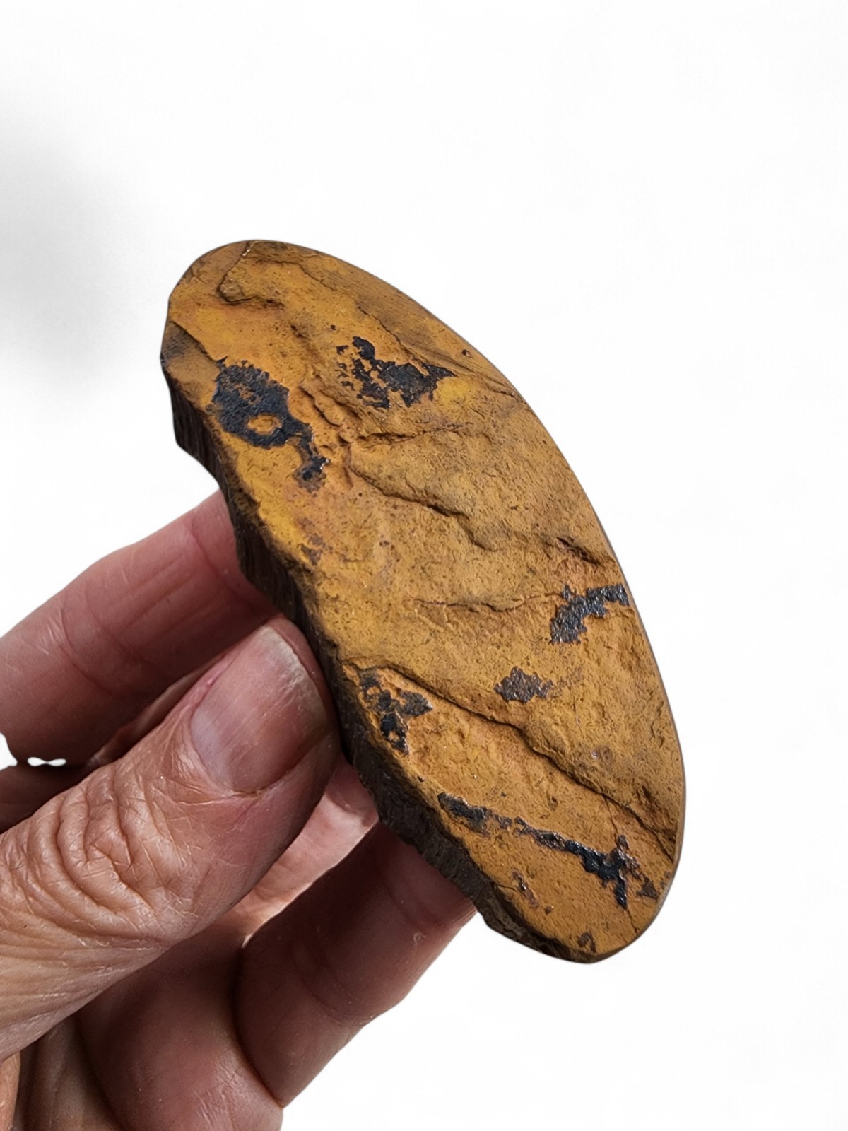 Hawk Eye Tigers Eye Polished Faced Rough Specimen 59.2 grams Africa