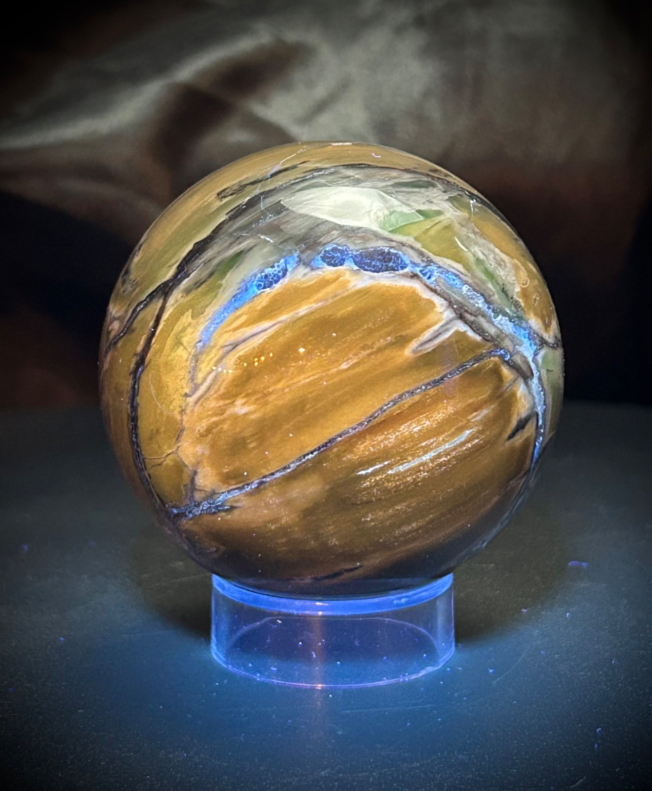 2.33″ Petrified Wood Sphere With Acrylic Stand UV REACTIVE 10.1oz